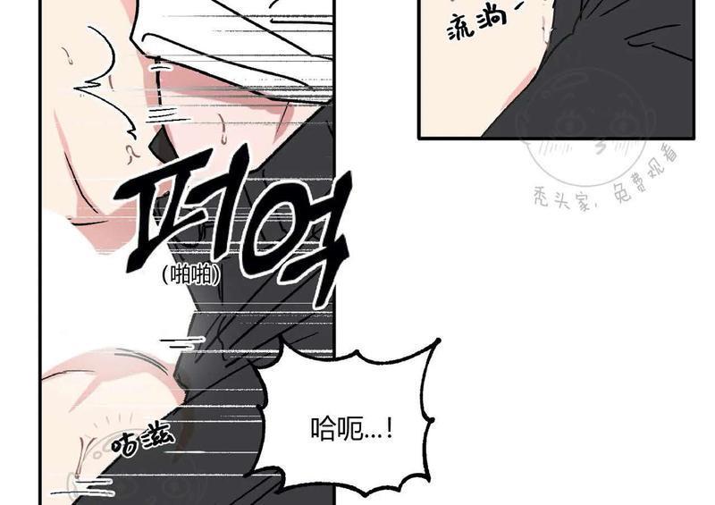 特别授课/特别课程[耽美]韩漫全集-第33话无删减无遮挡章节图片 