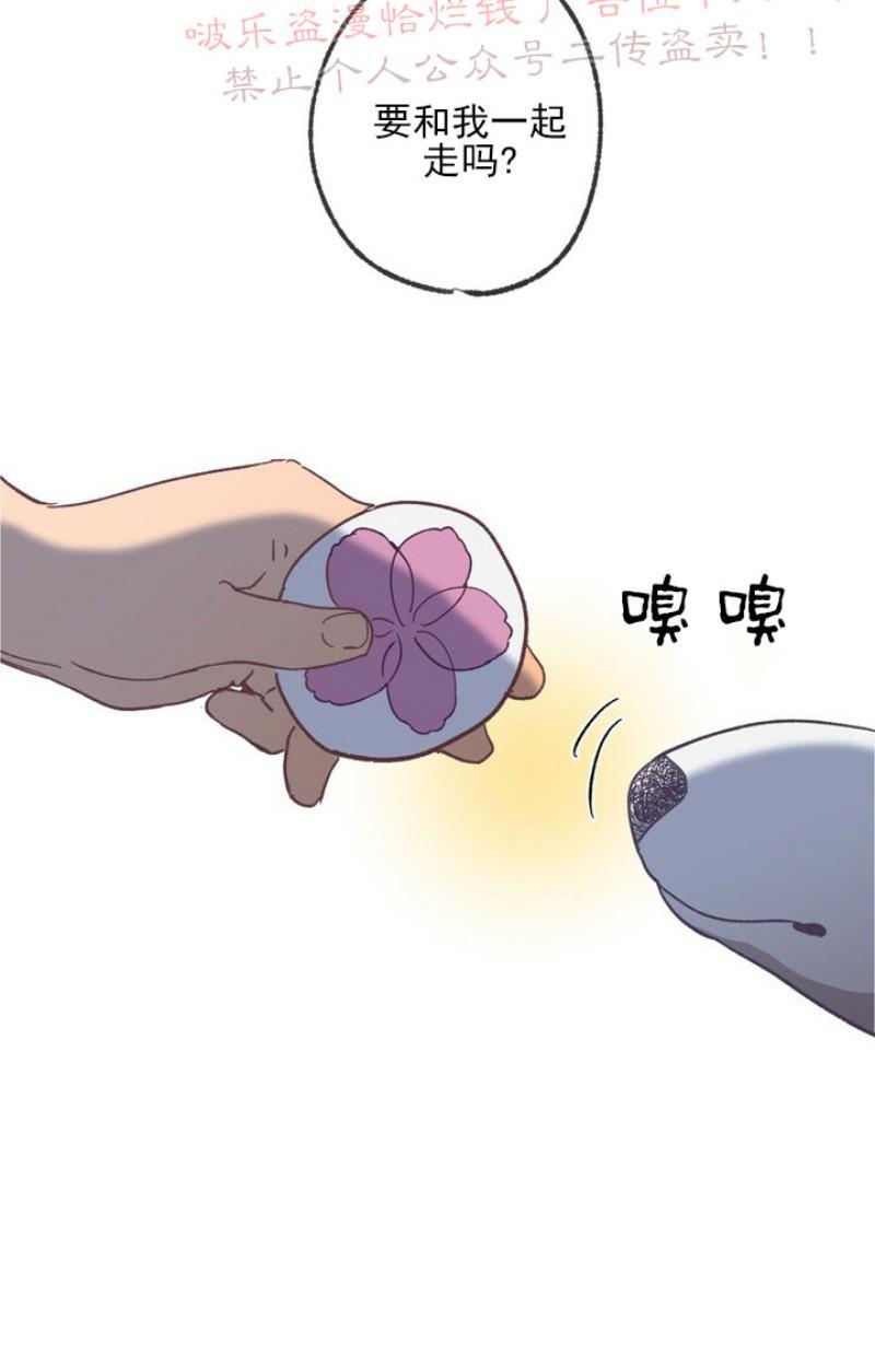 载满爱的拖拉机[耽美]韩漫全集-第9话无删减无遮挡章节图片 