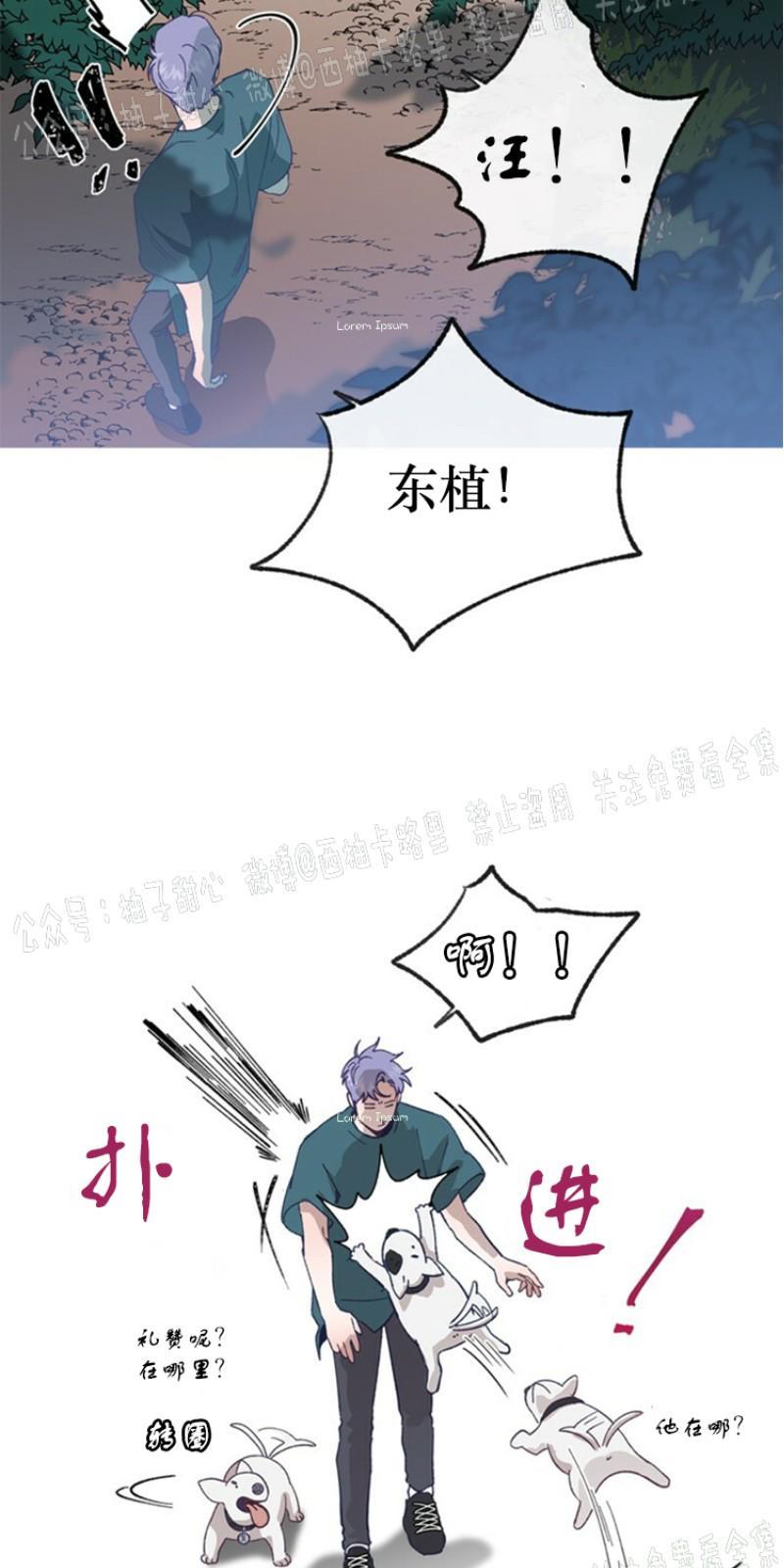 载满爱的拖拉机[耽美]韩漫全集-第12话无删减无遮挡章节图片 