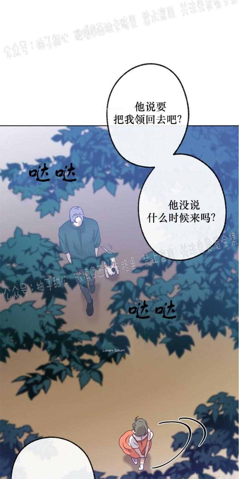 载满爱的拖拉机[耽美]韩漫全集-第12话无删减无遮挡章节图片 