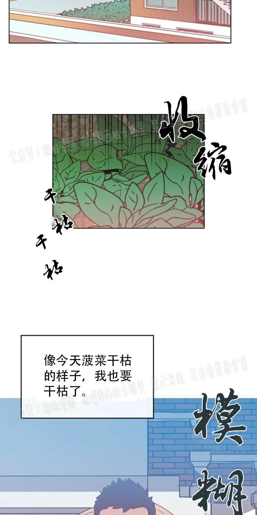 载满爱的拖拉机[耽美]韩漫全集-第22话无删减无遮挡章节图片 