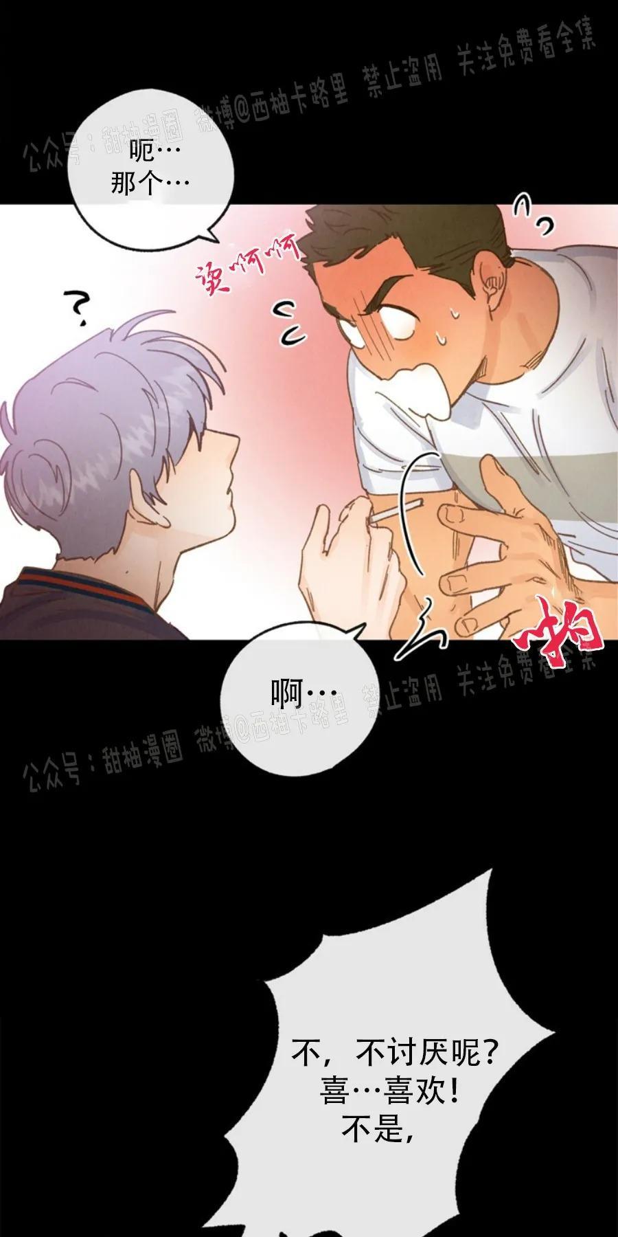 载满爱的拖拉机[耽美]韩漫全集-第22话无删减无遮挡章节图片 