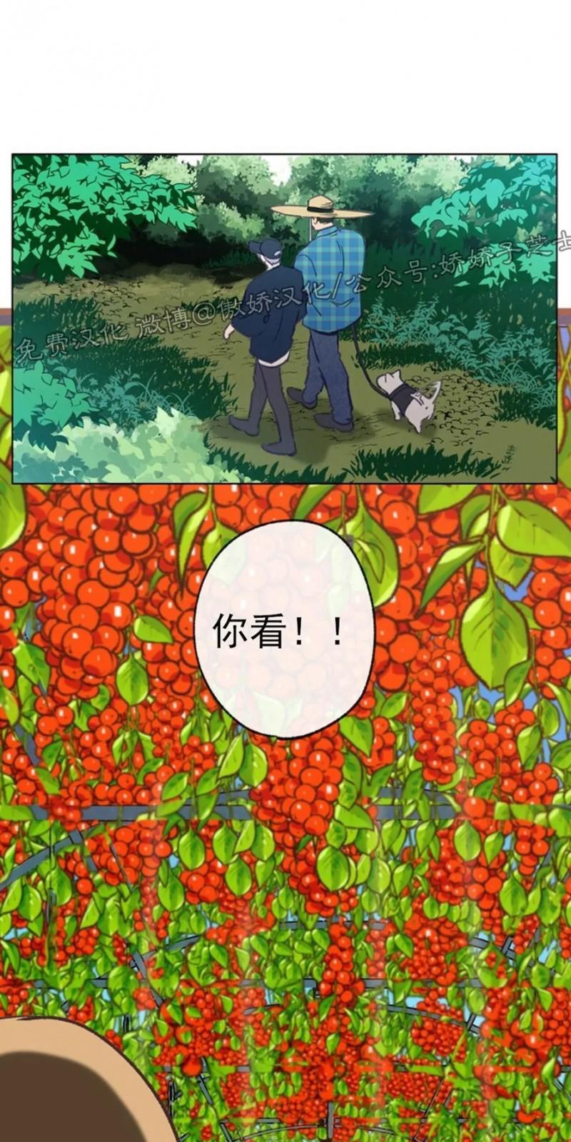 载满爱的拖拉机[耽美]韩漫全集-第32话无删减无遮挡章节图片 
