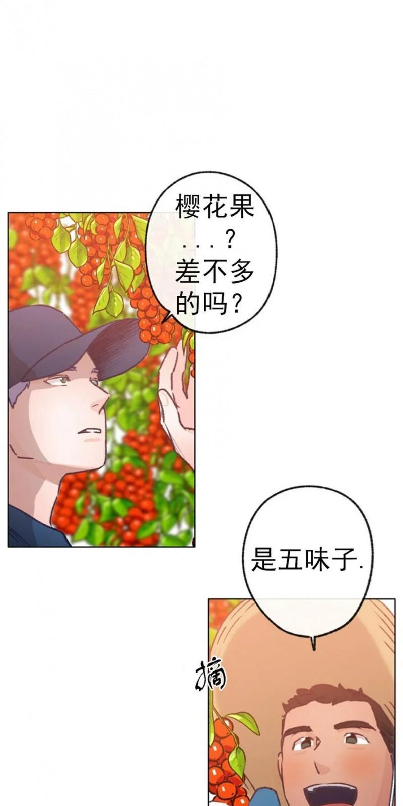 载满爱的拖拉机[耽美]韩漫全集-第32话无删减无遮挡章节图片 