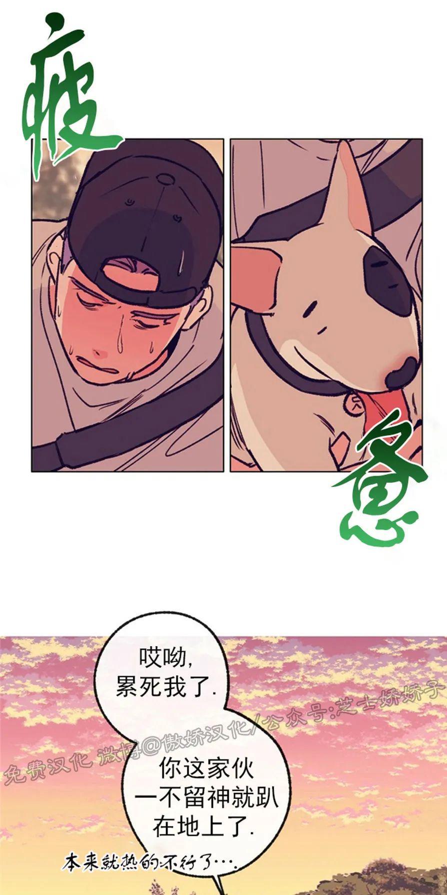 载满爱的拖拉机[耽美]韩漫全集-第40话无删减无遮挡章节图片 