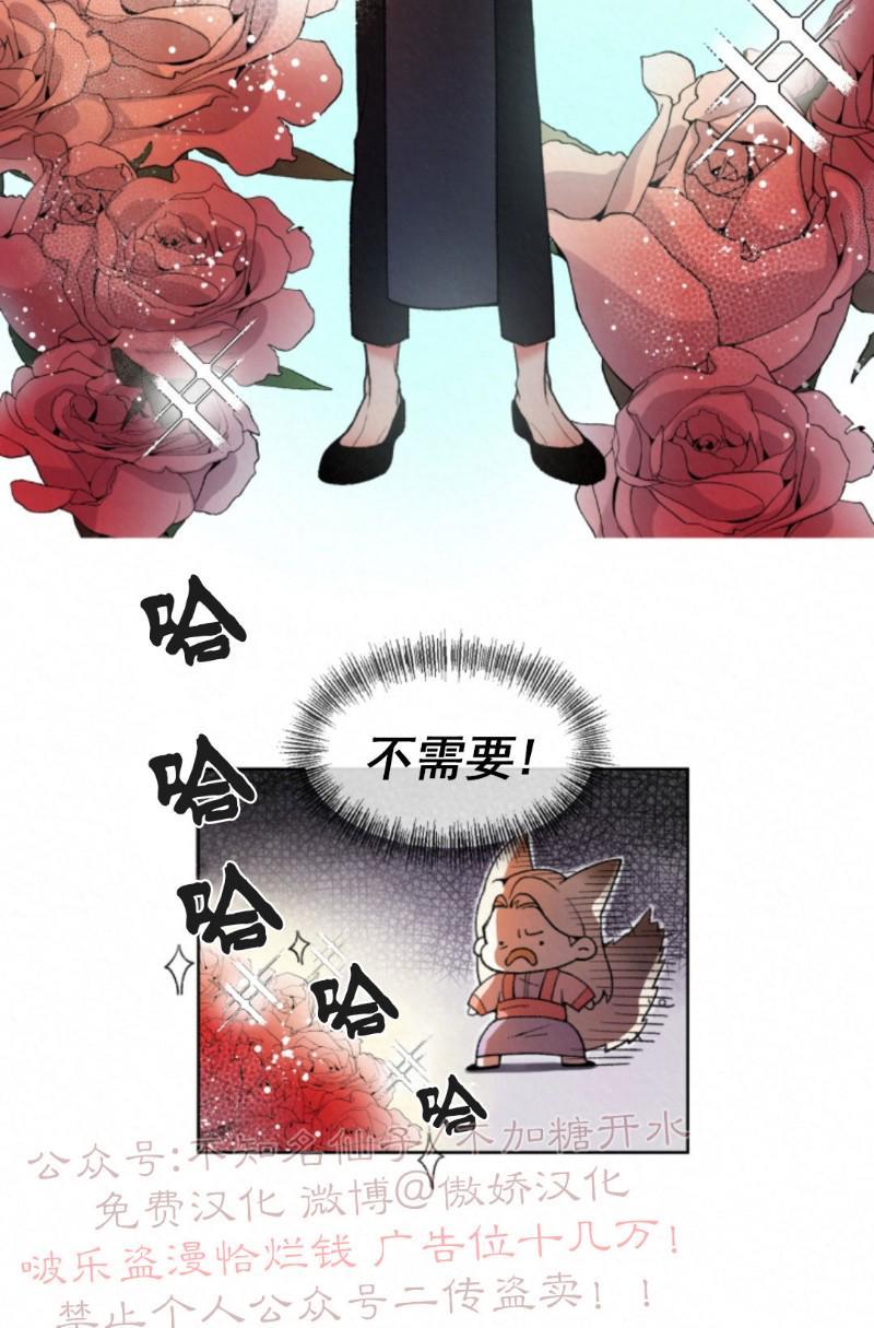 虎郎传/狐狸与狼/狐狸传说[耽美]韩漫全集-第2话无删减无遮挡章节图片 