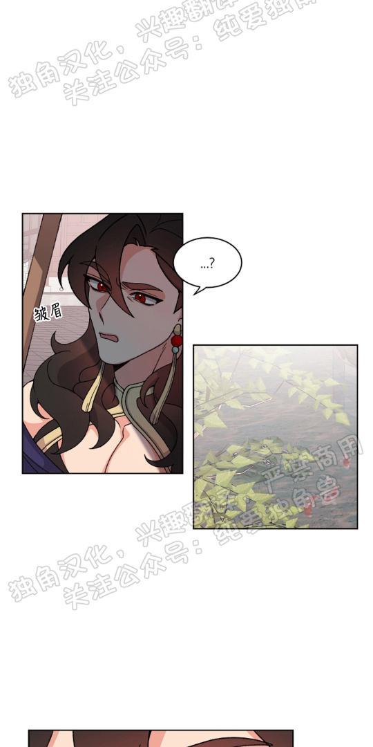 虎郎传/狐狸与狼/狐狸传说[耽美]韩漫全集-第24话无删减无遮挡章节图片 