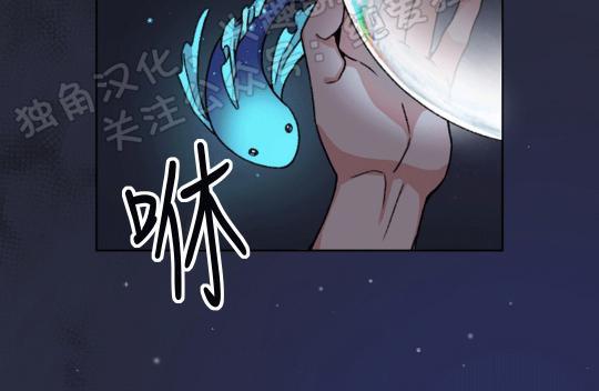 虎郎传/狐狸与狼/狐狸传说[耽美]韩漫全集-第24话无删减无遮挡章节图片 