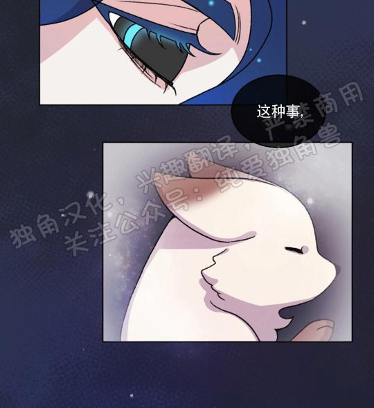 虎郎传/狐狸与狼/狐狸传说[耽美]韩漫全集-第24话无删减无遮挡章节图片 