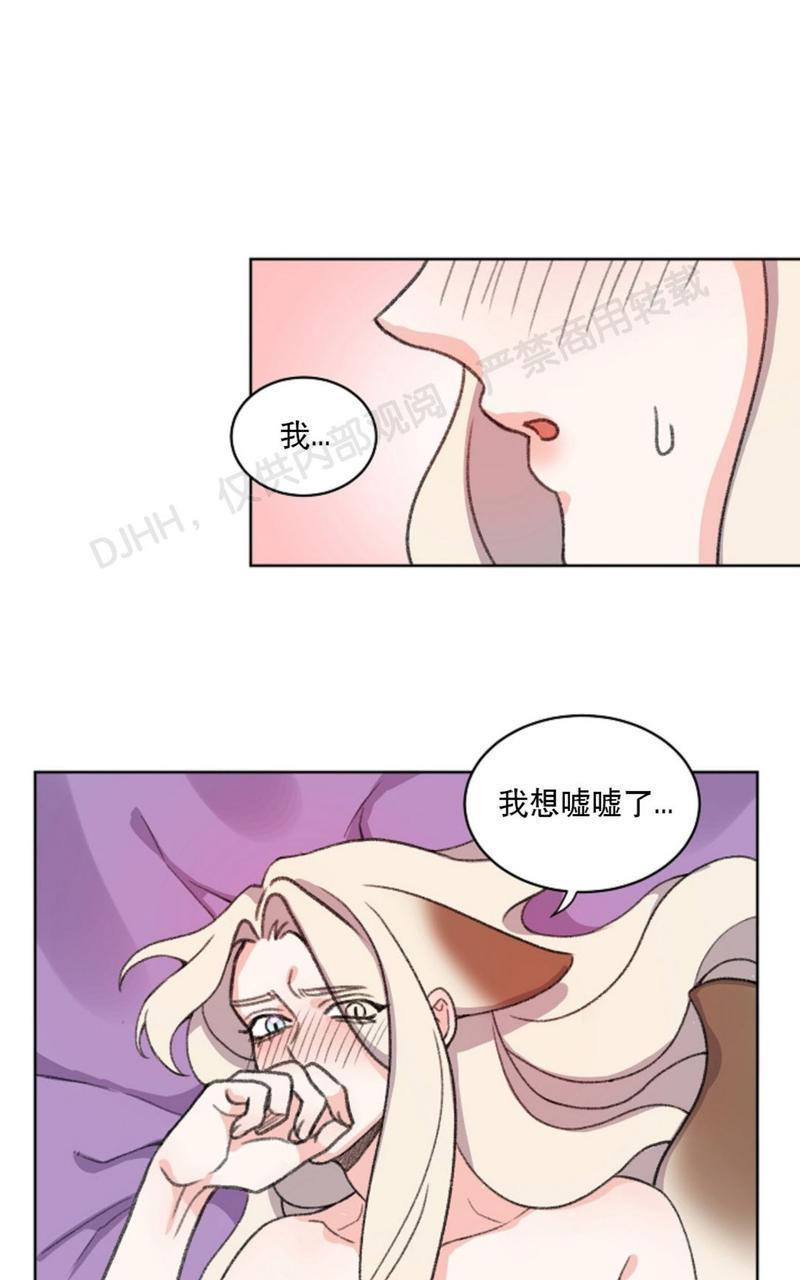 虎郎传/狐狸与狼/狐狸传说[耽美]韩漫全集-第39话无删减无遮挡章节图片 