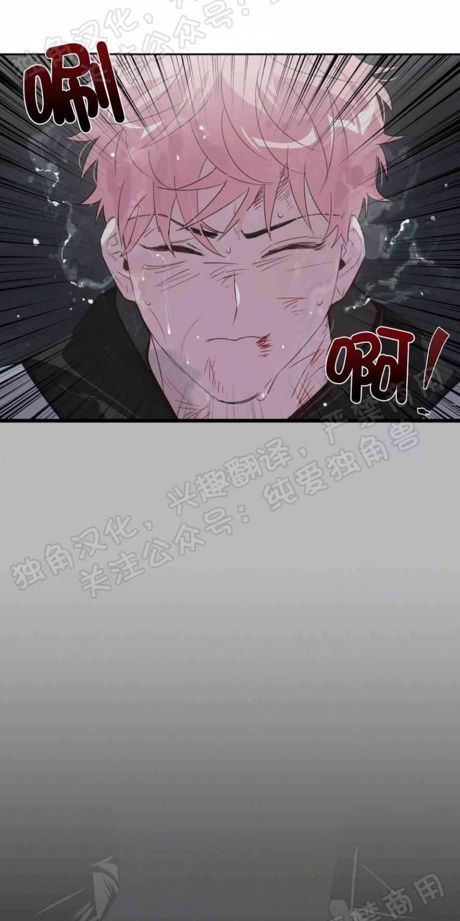 疯子套装组合[耽美]韩漫全集-第2话无删减无遮挡章节图片 