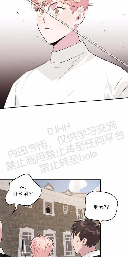 疯子套装组合[耽美]韩漫全集-第8话无删减无遮挡章节图片 