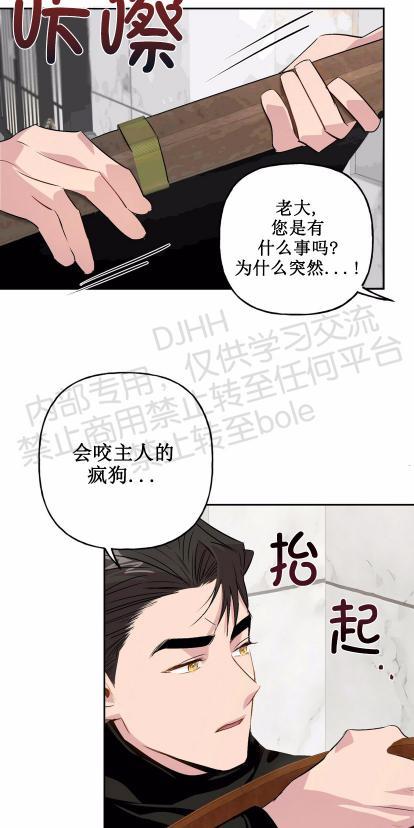 疯子套装组合[耽美]韩漫全集-第8话无删减无遮挡章节图片 