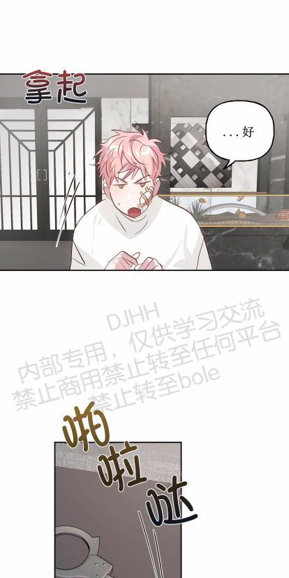 疯子套装组合[耽美]韩漫全集-第8话无删减无遮挡章节图片 