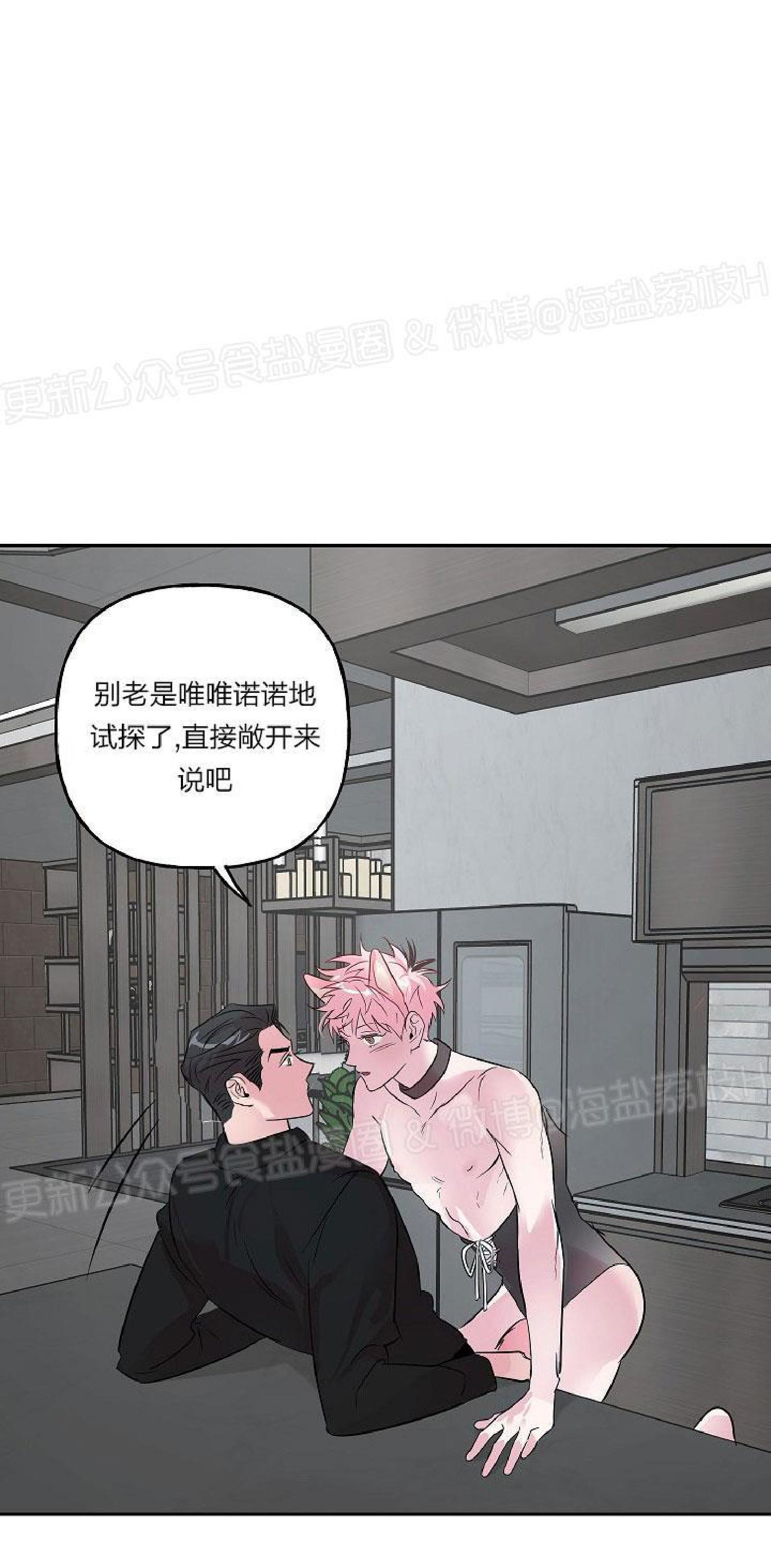 疯子套装组合[耽美]韩漫全集-第25话无删减无遮挡章节图片 