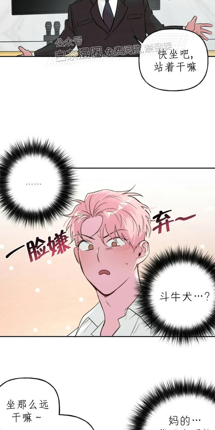 疯子套装组合[耽美]韩漫全集-第33话第一季完结无删减无遮挡章节图片 