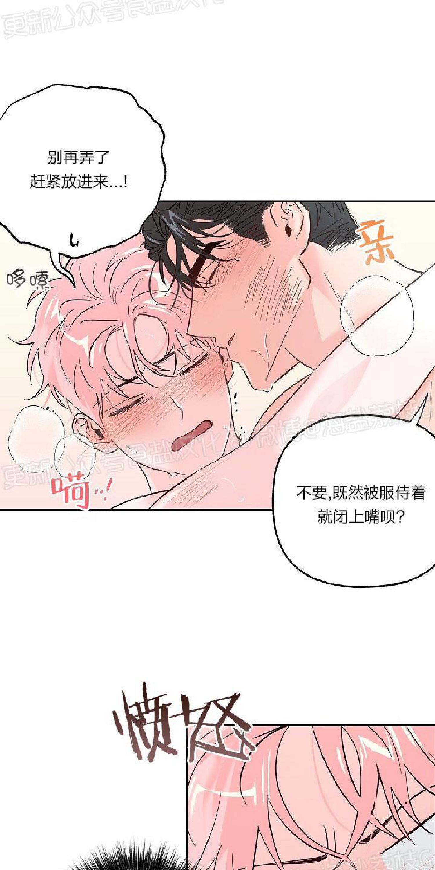 疯子套装组合[耽美]韩漫全集-第35话无删减无遮挡章节图片 