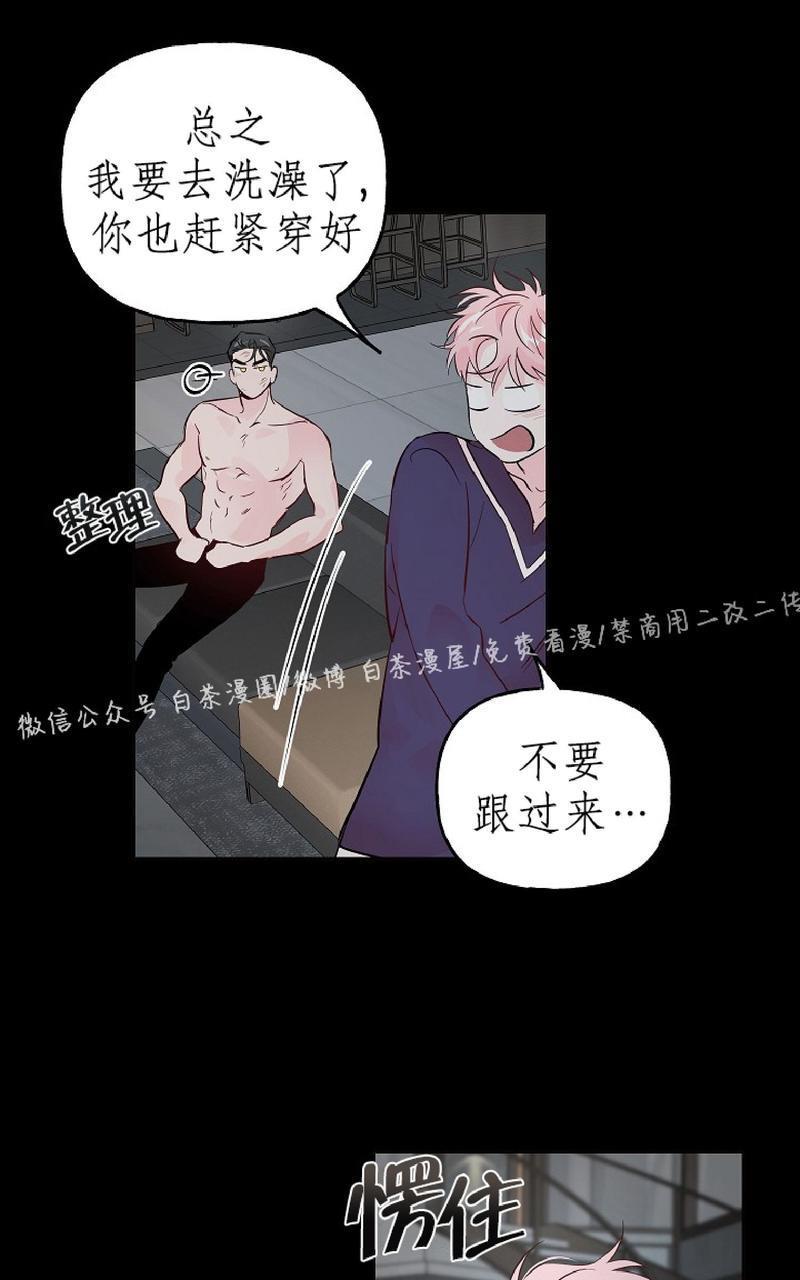 疯子套装组合[耽美]韩漫全集-第39话无删减无遮挡章节图片 