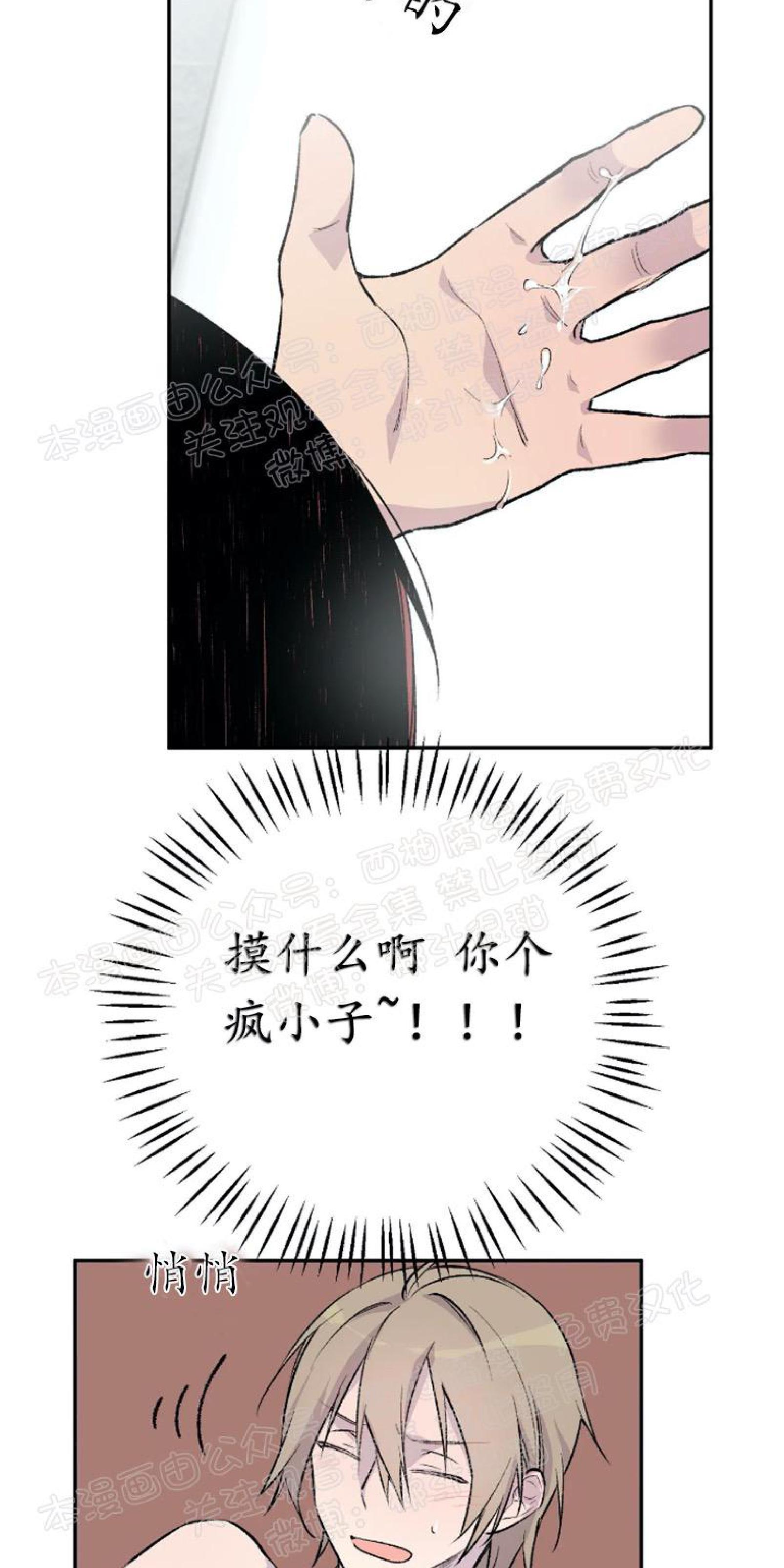 请停笔吧作家[耽美]韩漫全集-第4话无删减无遮挡章节图片 