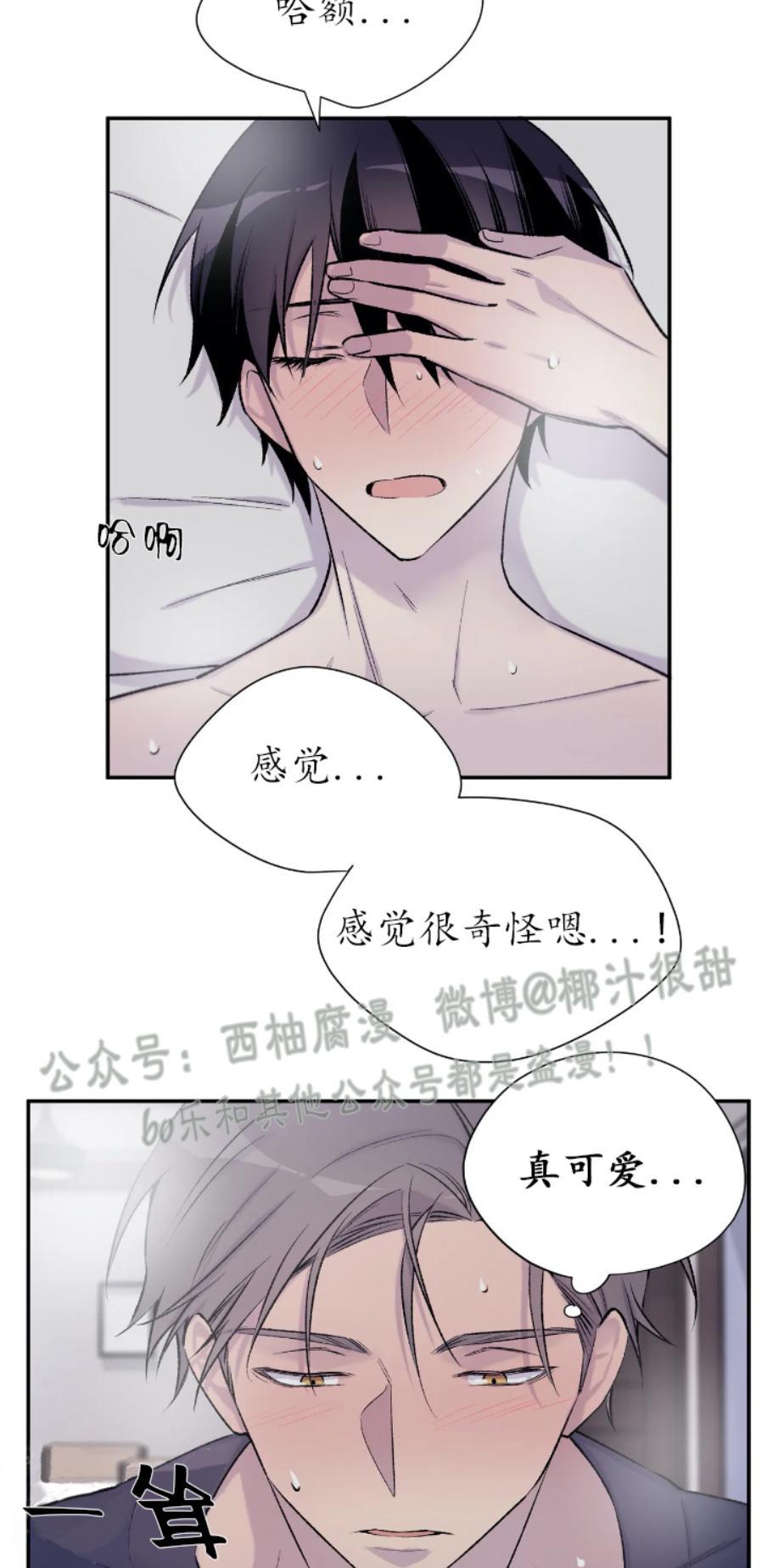请停笔吧作家[耽美]韩漫全集-第19话无删减无遮挡章节图片 