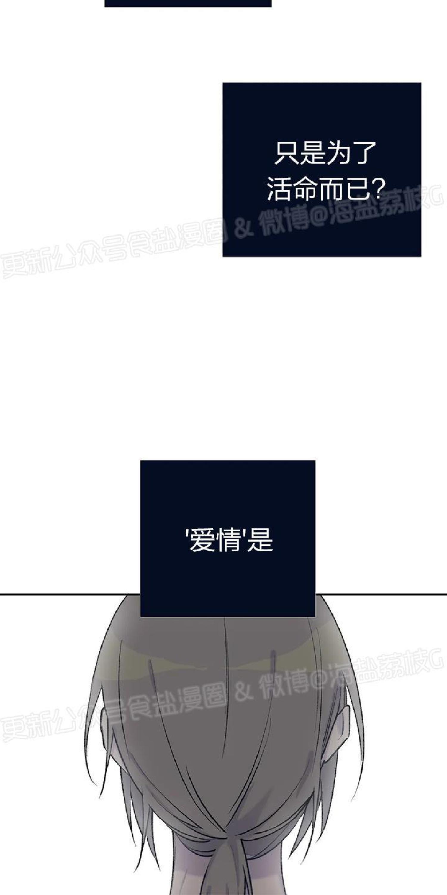 请停笔吧作家[耽美]韩漫全集-第40话无删减无遮挡章节图片 