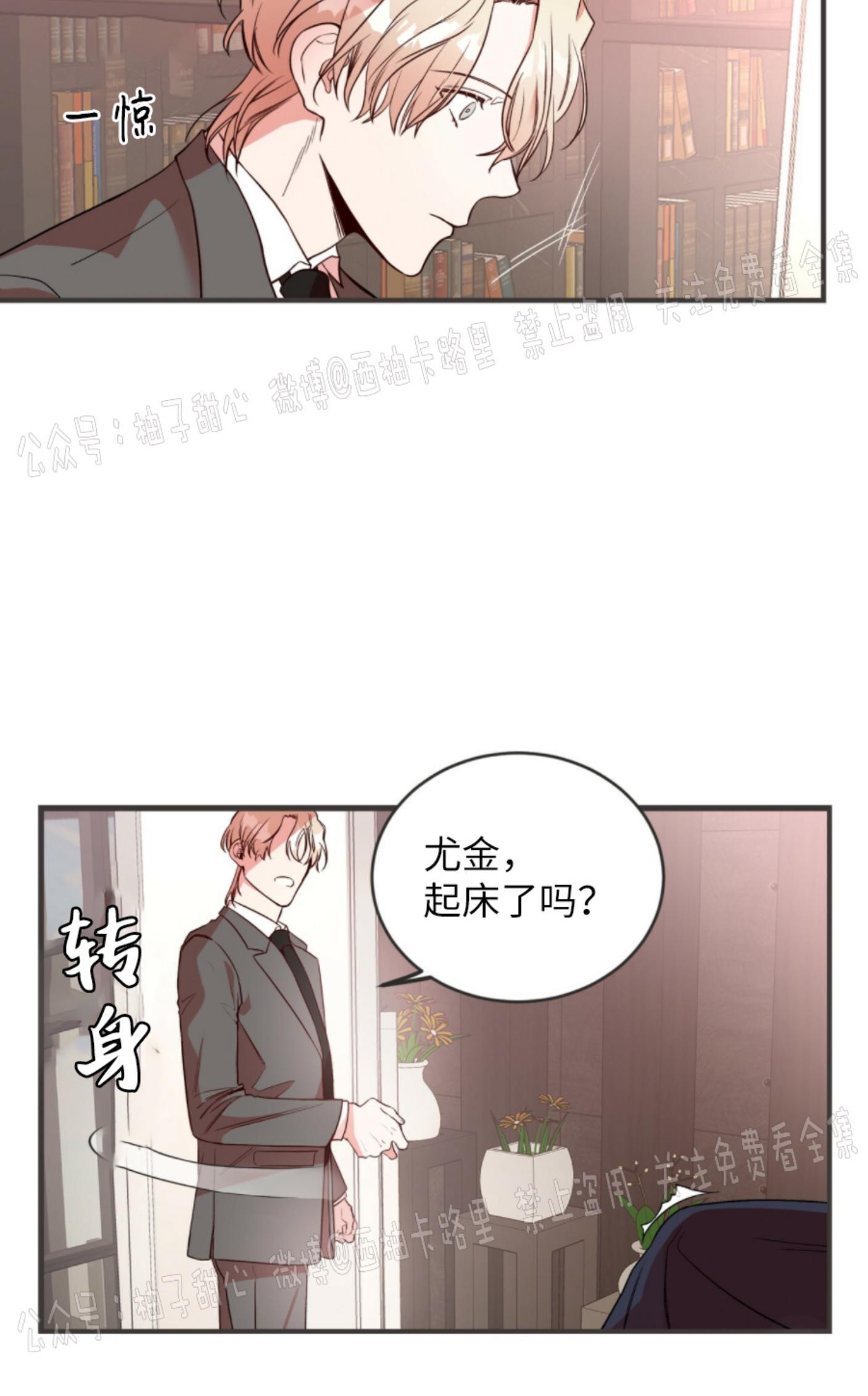 大苹果/纽约城[耽美]韩漫全集-第1话无删减无遮挡章节图片 