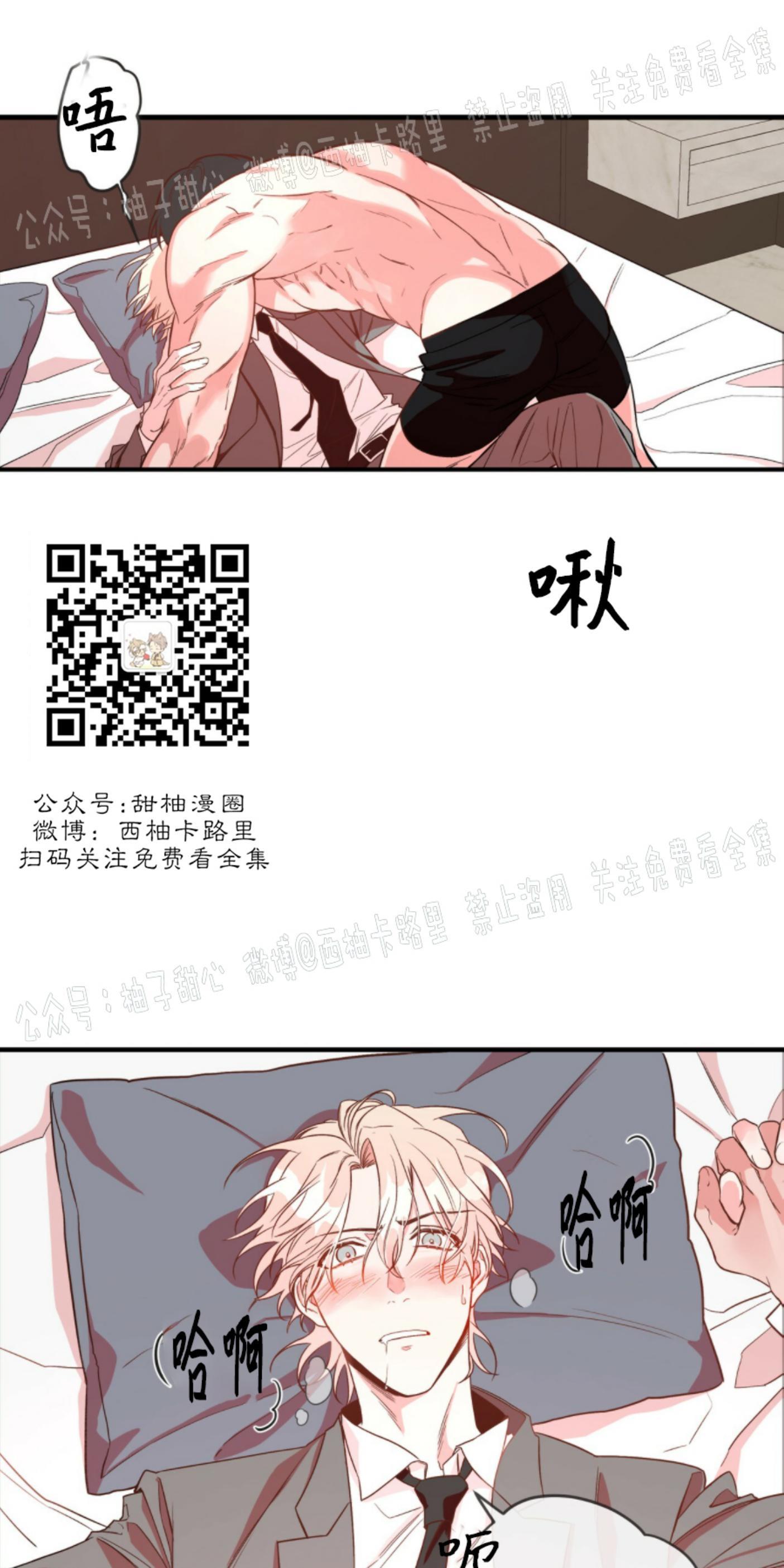 大苹果/纽约城[耽美]韩漫全集-第1话无删减无遮挡章节图片 