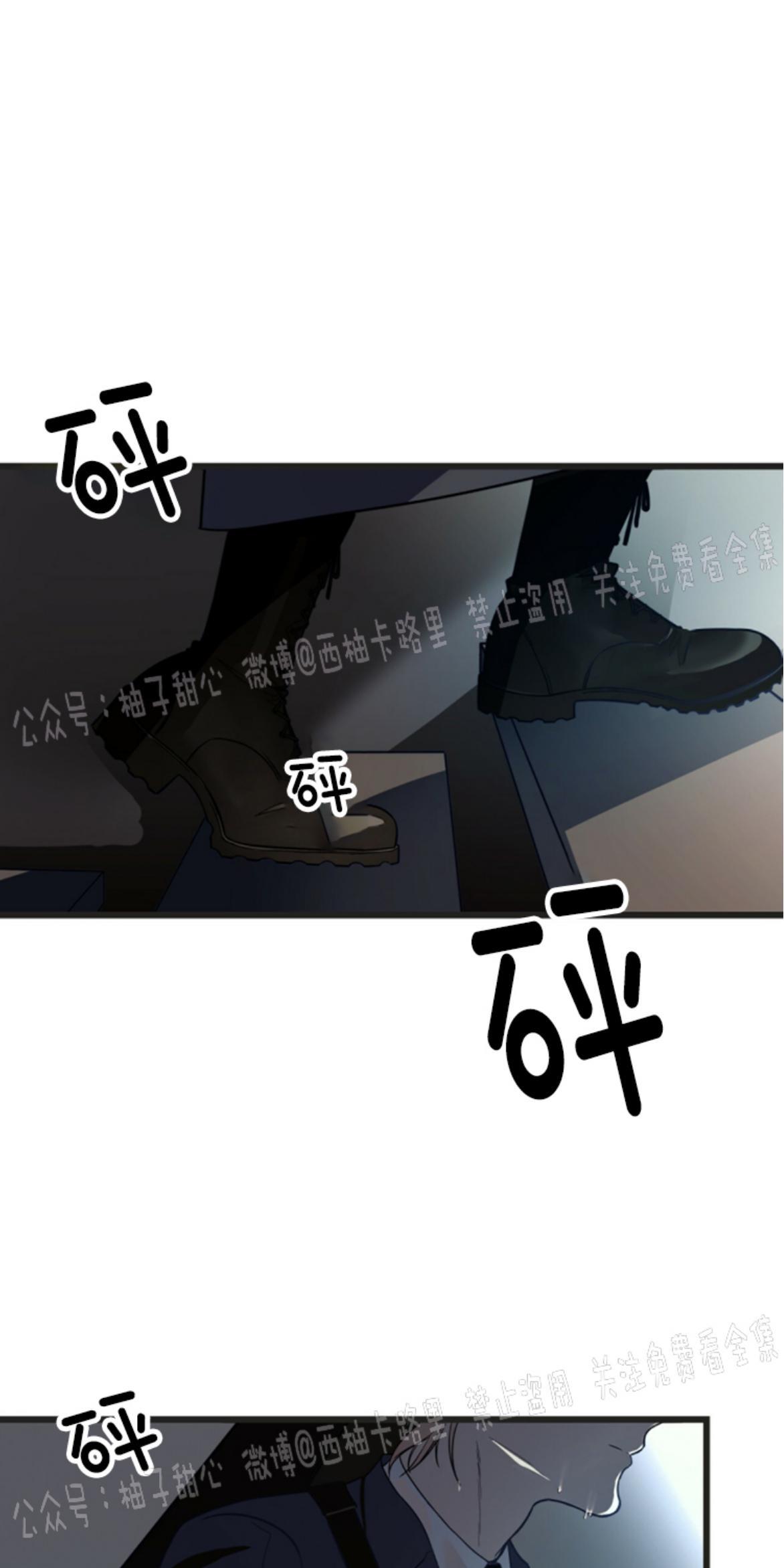 大苹果/纽约城[耽美]韩漫全集-第2话无删减无遮挡章节图片 