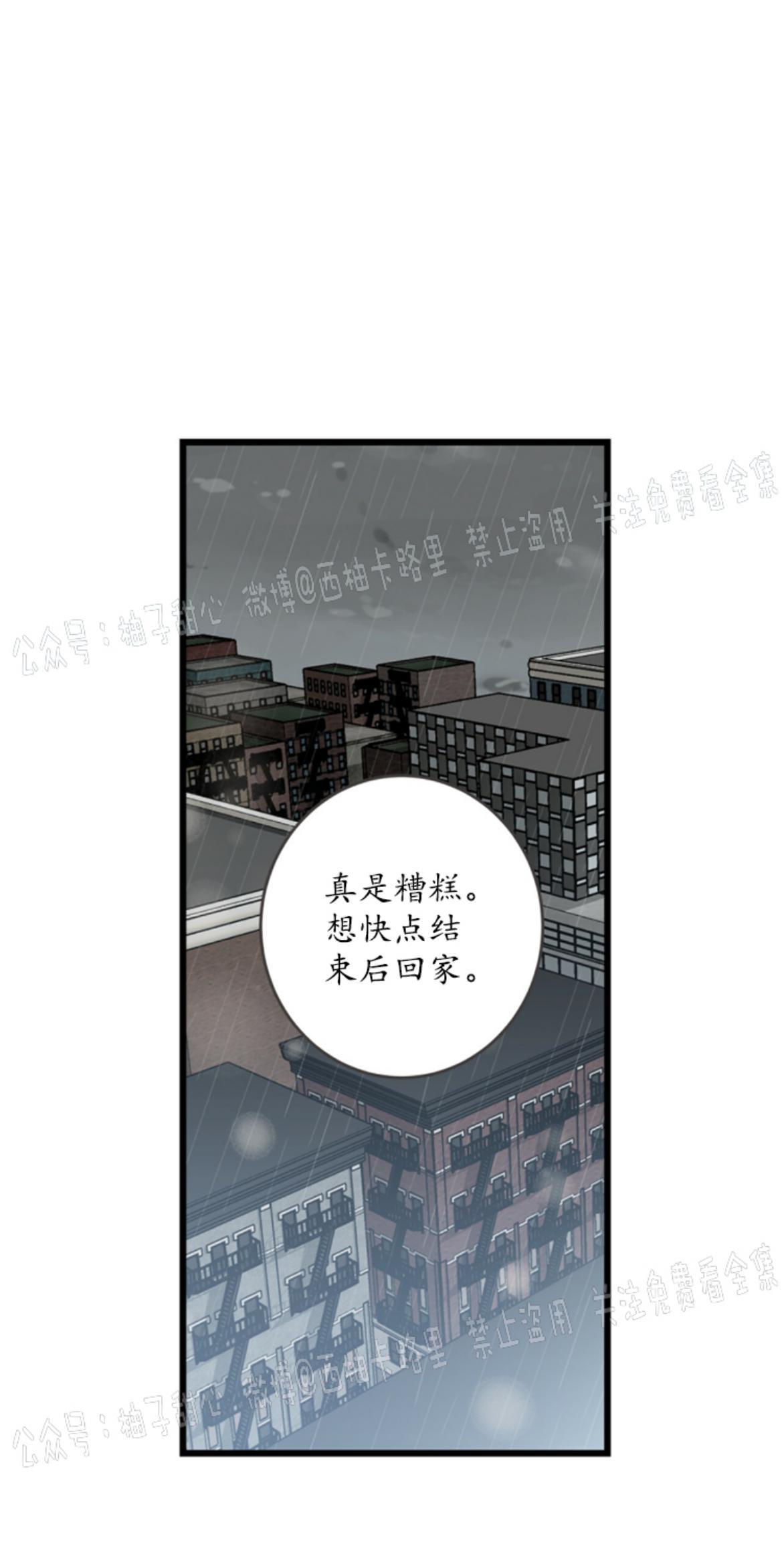 大苹果/纽约城[耽美]韩漫全集-第2话无删减无遮挡章节图片 