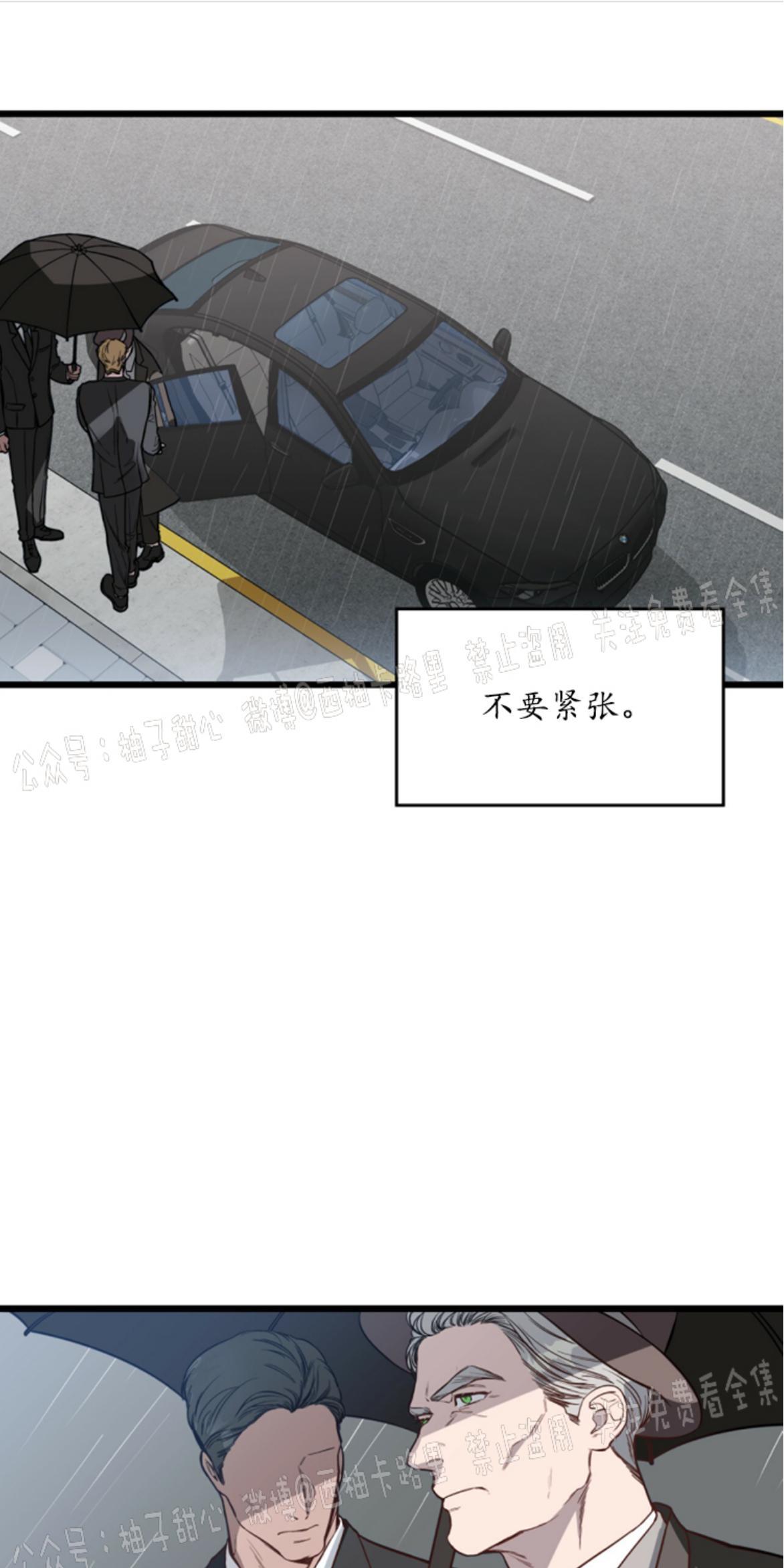 大苹果/纽约城[耽美]韩漫全集-第2话无删减无遮挡章节图片 
