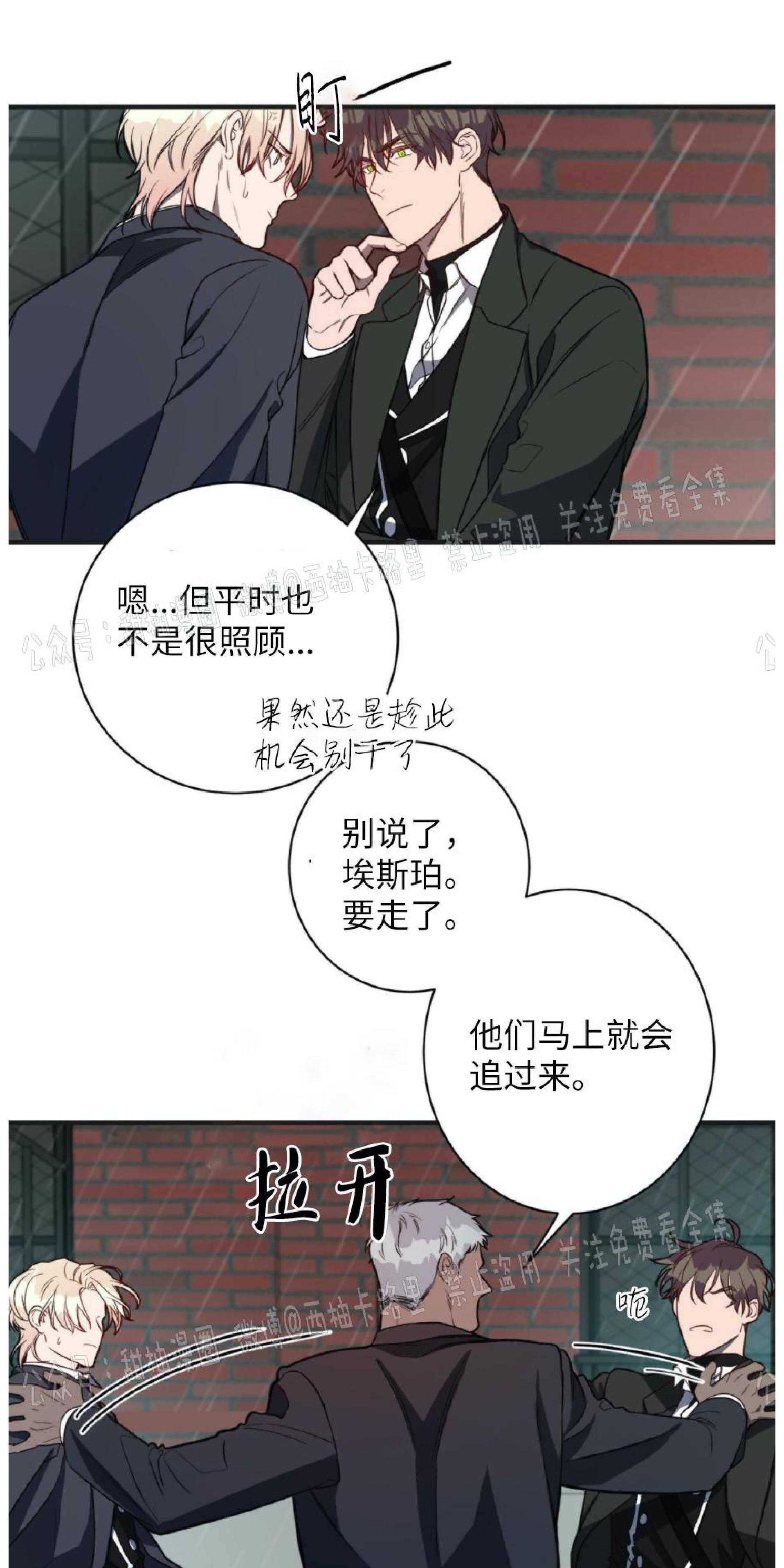大苹果/纽约城[耽美]韩漫全集-第4话无删减无遮挡章节图片 