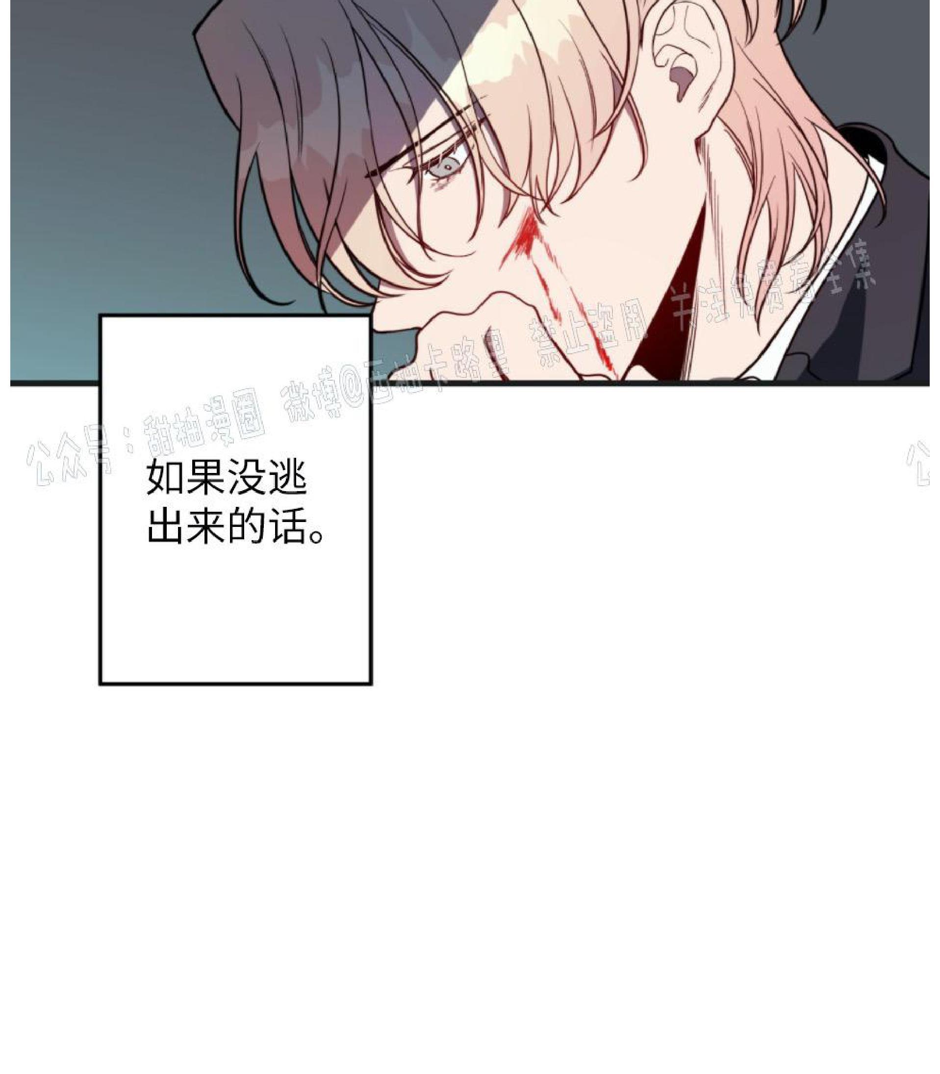 大苹果/纽约城[耽美]韩漫全集-第4话无删减无遮挡章节图片 