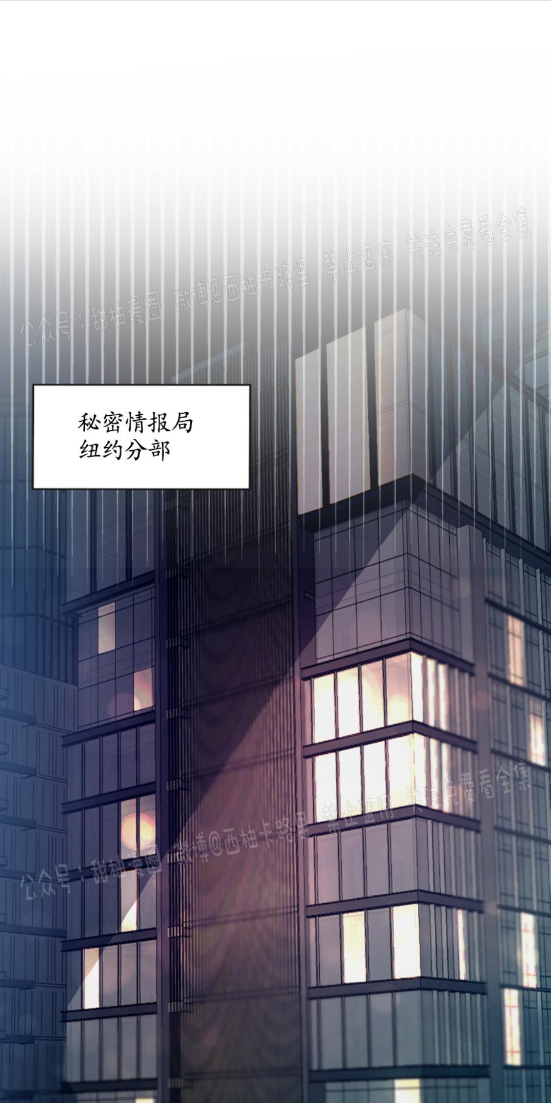 大苹果/纽约城[耽美]韩漫全集-第5话无删减无遮挡章节图片 