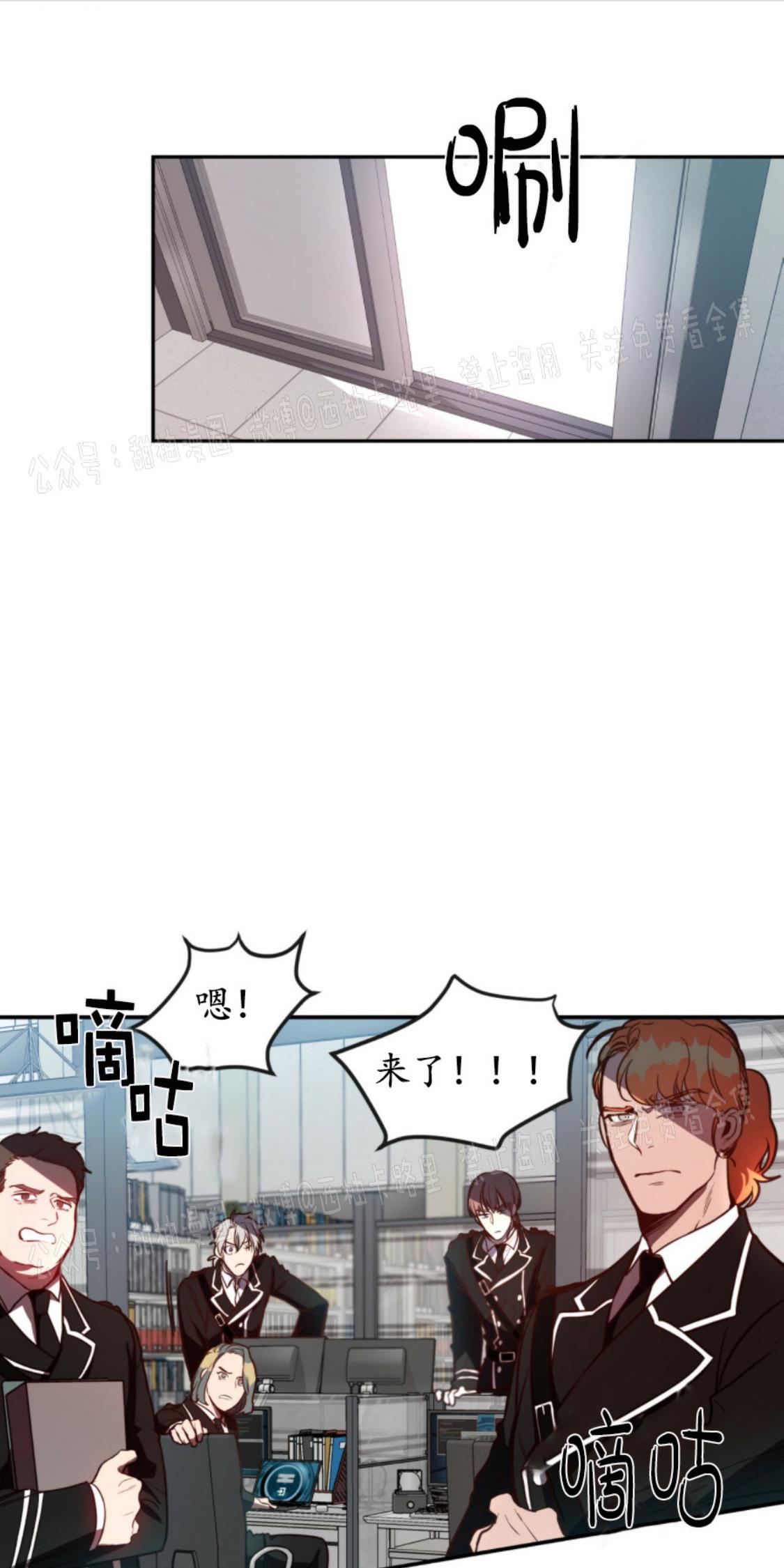 大苹果/纽约城[耽美]韩漫全集-第5话无删减无遮挡章节图片 