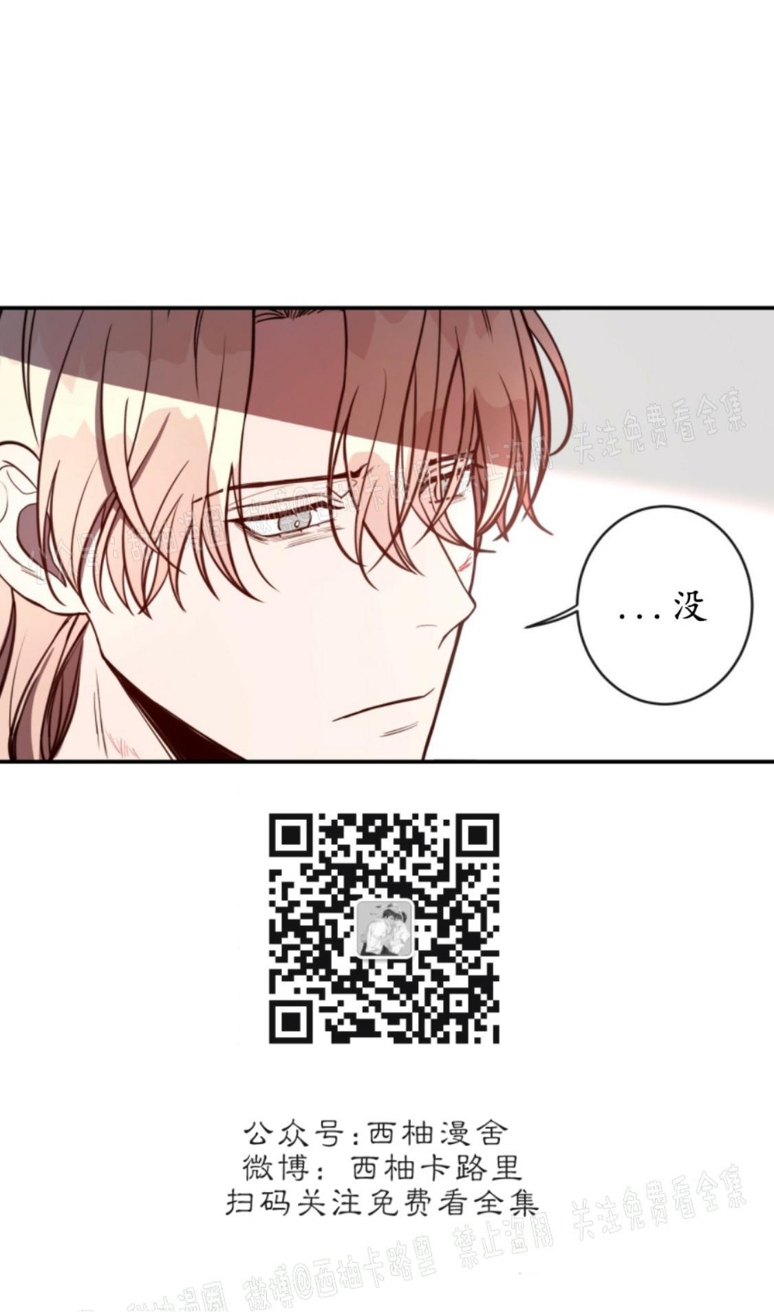 大苹果/纽约城[耽美]韩漫全集-第5话无删减无遮挡章节图片 