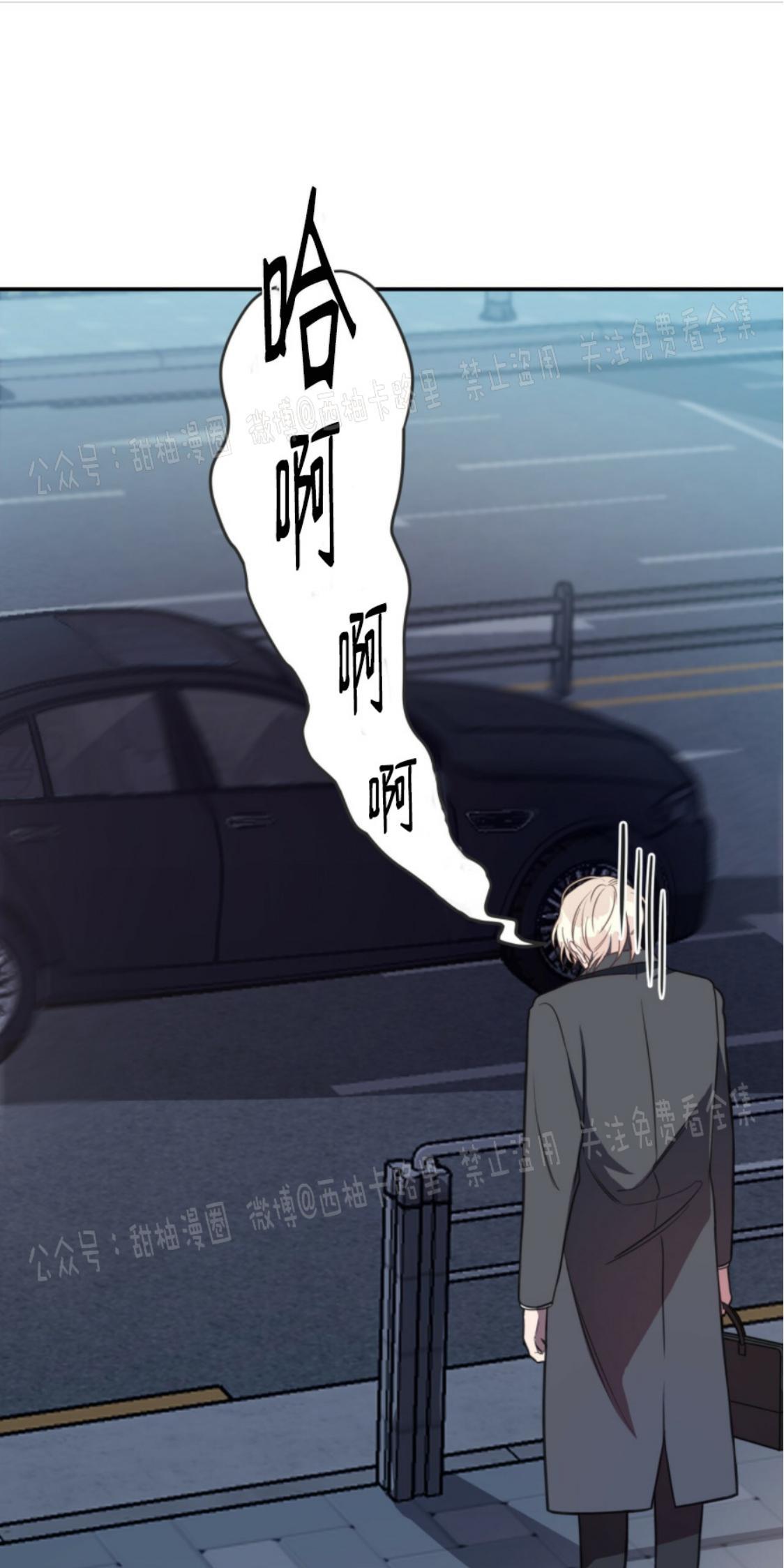 大苹果/纽约城[耽美]韩漫全集-第5话无删减无遮挡章节图片 