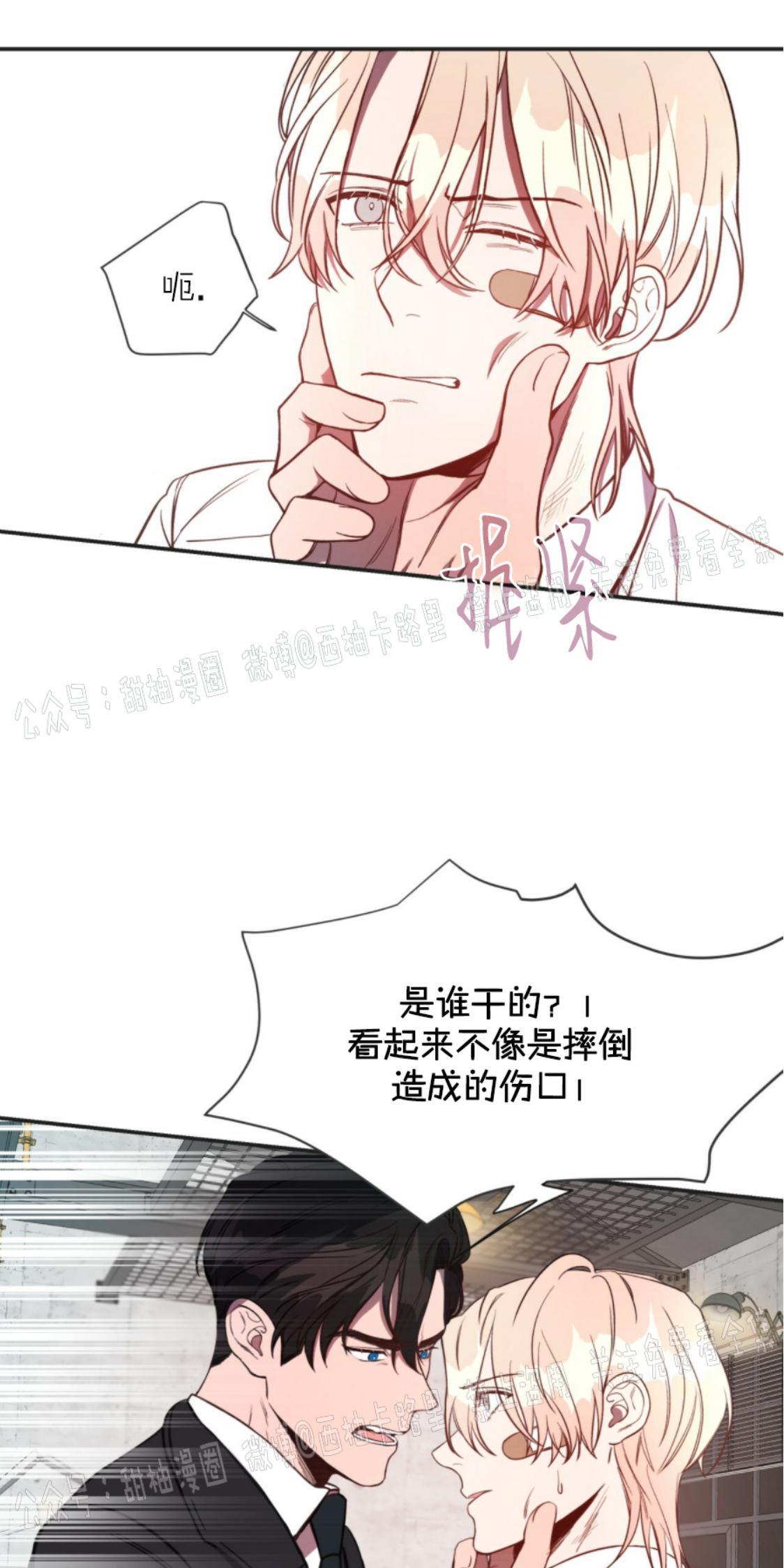大苹果/纽约城[耽美]韩漫全集-第6话无删减无遮挡章节图片 