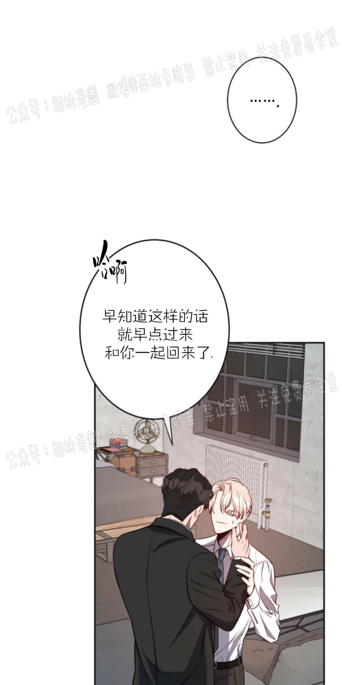 大苹果/纽约城[耽美]韩漫全集-第6话无删减无遮挡章节图片 