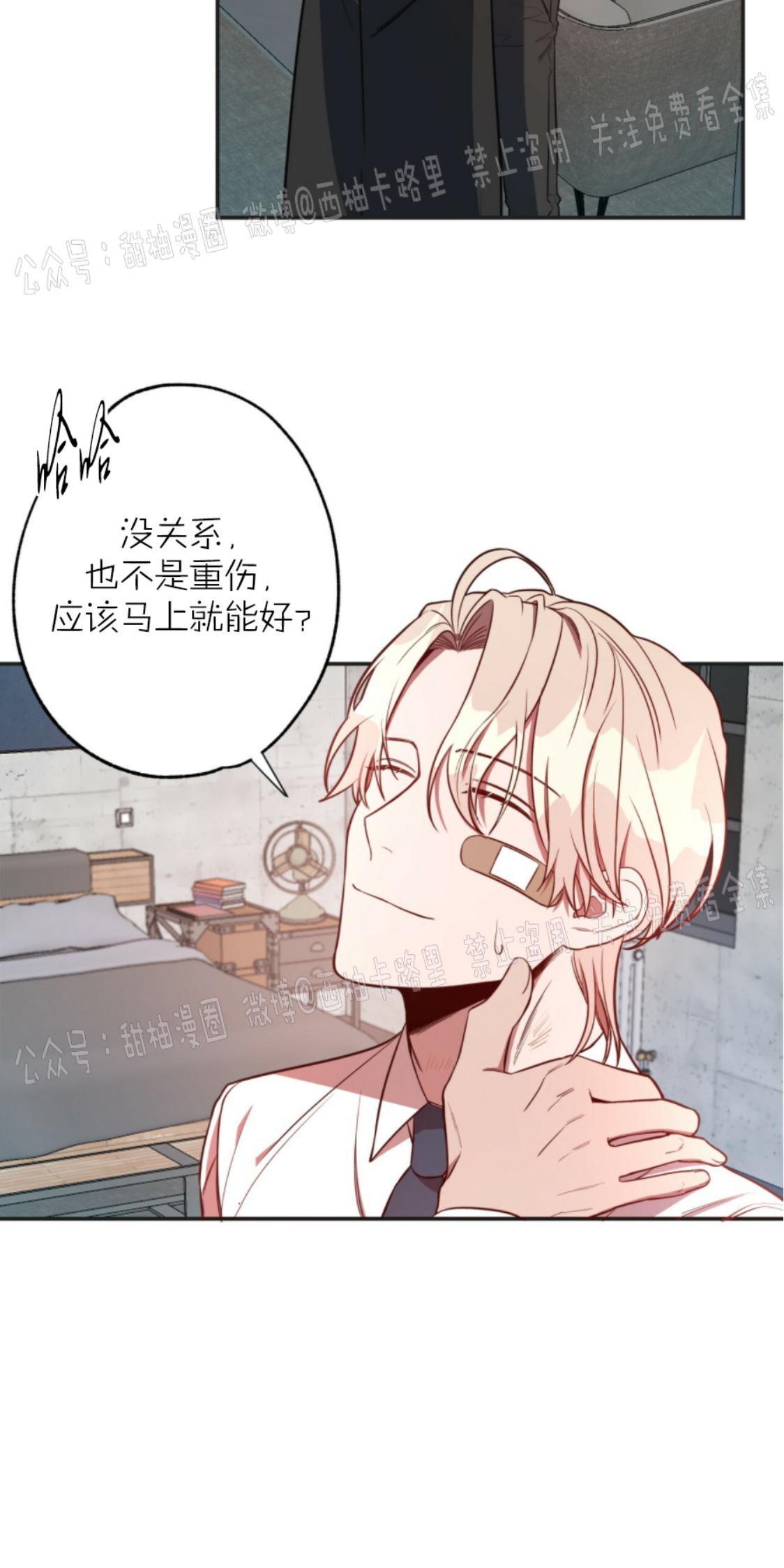 大苹果/纽约城[耽美]韩漫全集-第6话无删减无遮挡章节图片 