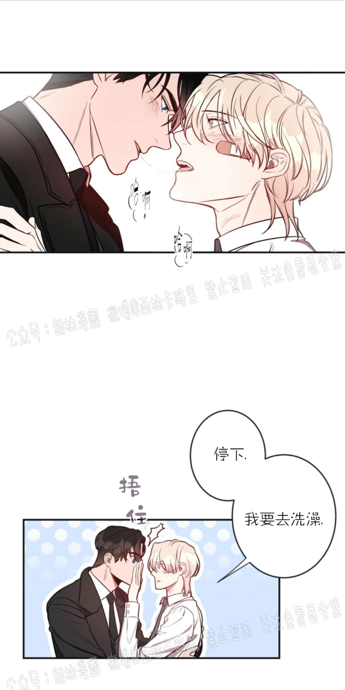 大苹果/纽约城[耽美]韩漫全集-第6话无删减无遮挡章节图片 