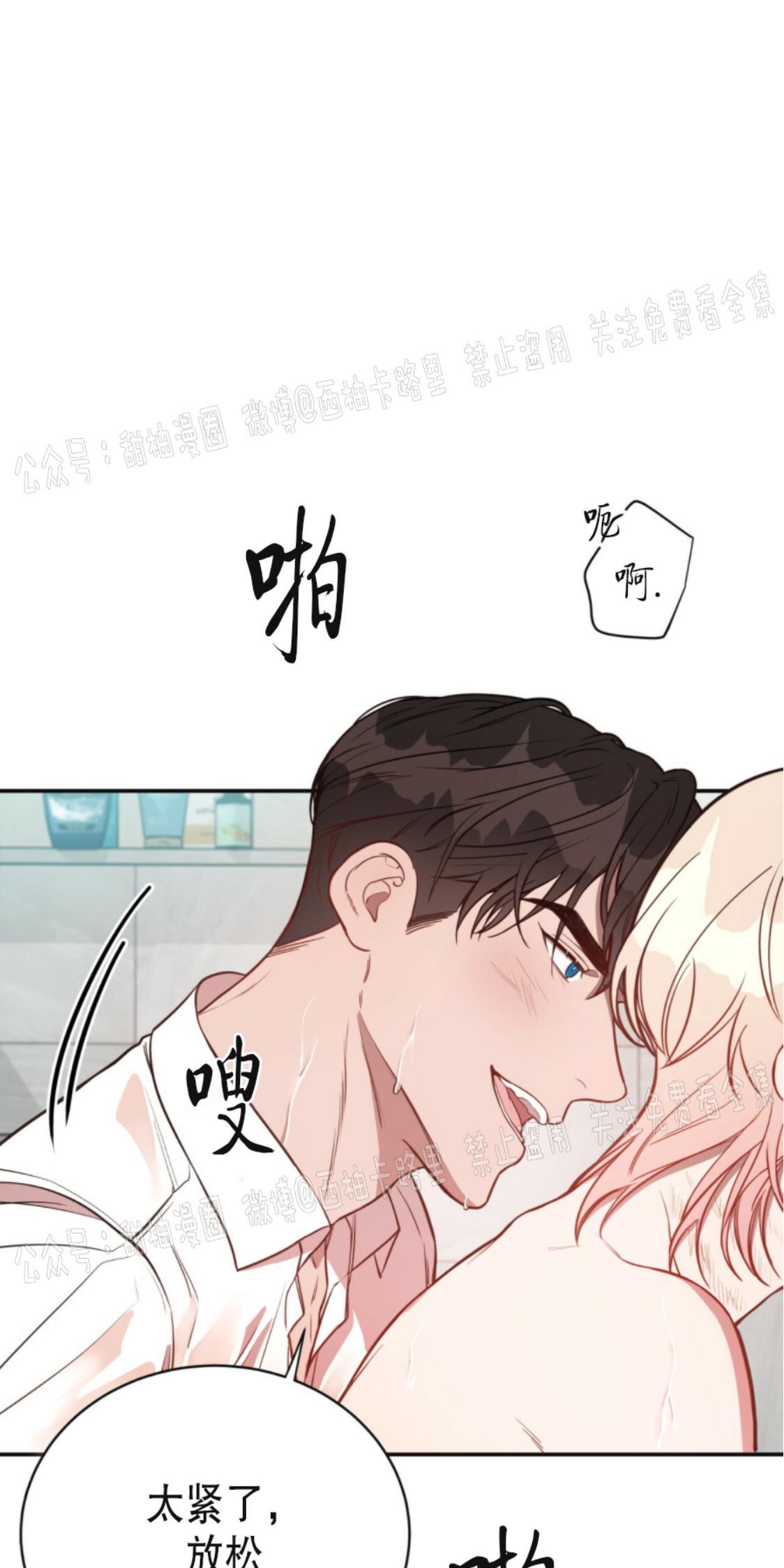 大苹果/纽约城[耽美]韩漫全集-第7话无删减无遮挡章节图片 