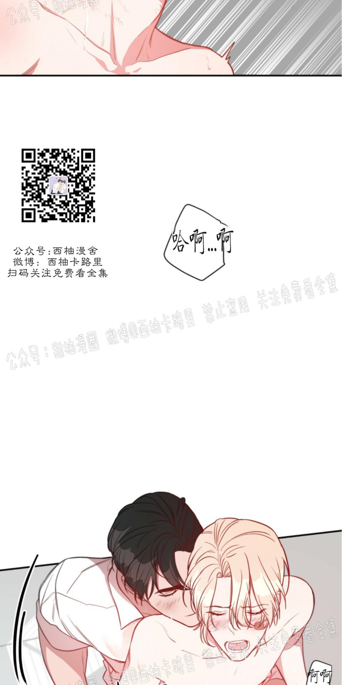 大苹果/纽约城[耽美]韩漫全集-第7话无删减无遮挡章节图片 
