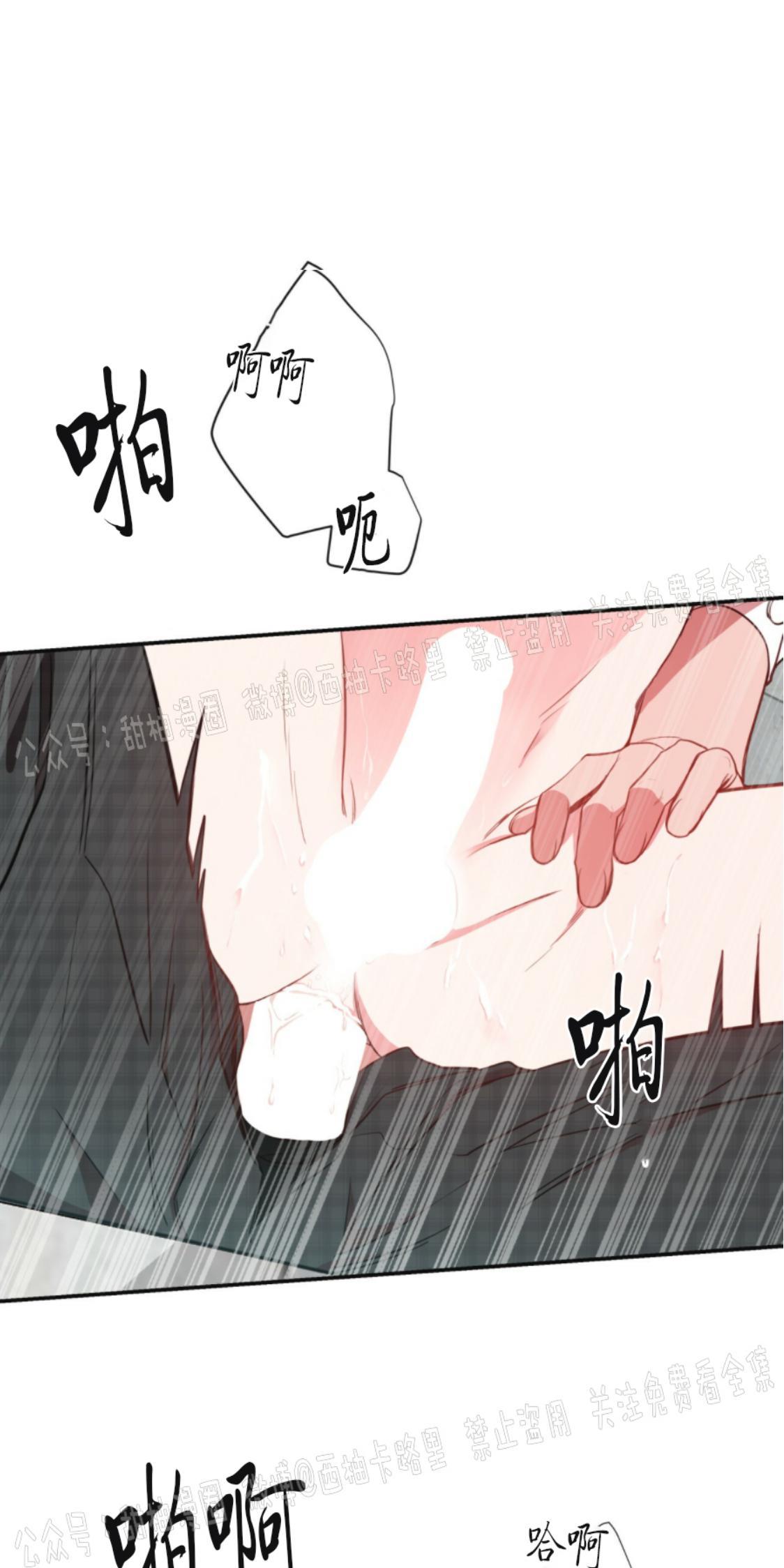 大苹果/纽约城[耽美]韩漫全集-第7话无删减无遮挡章节图片 