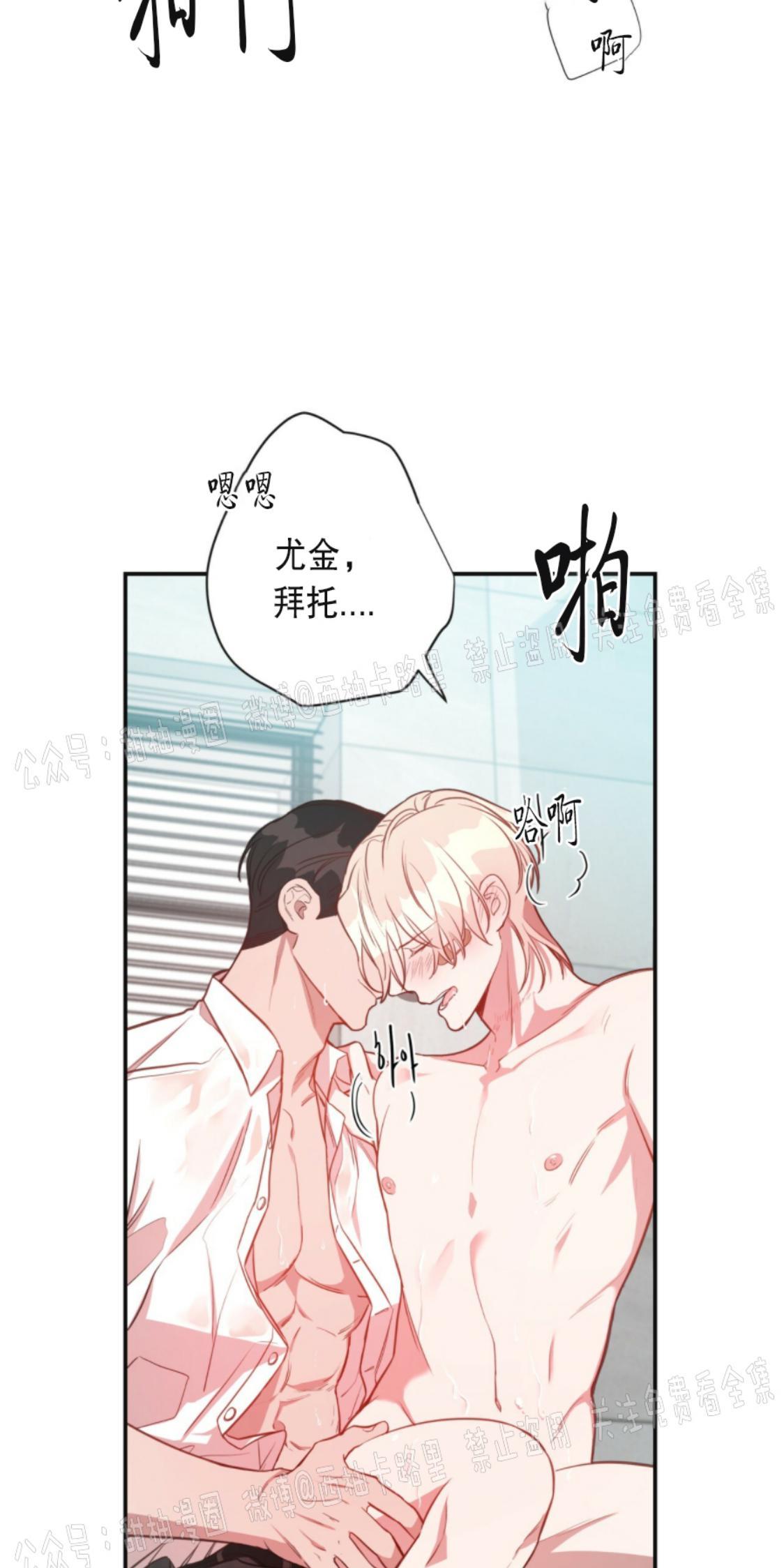 大苹果/纽约城[耽美]韩漫全集-第7话无删减无遮挡章节图片 