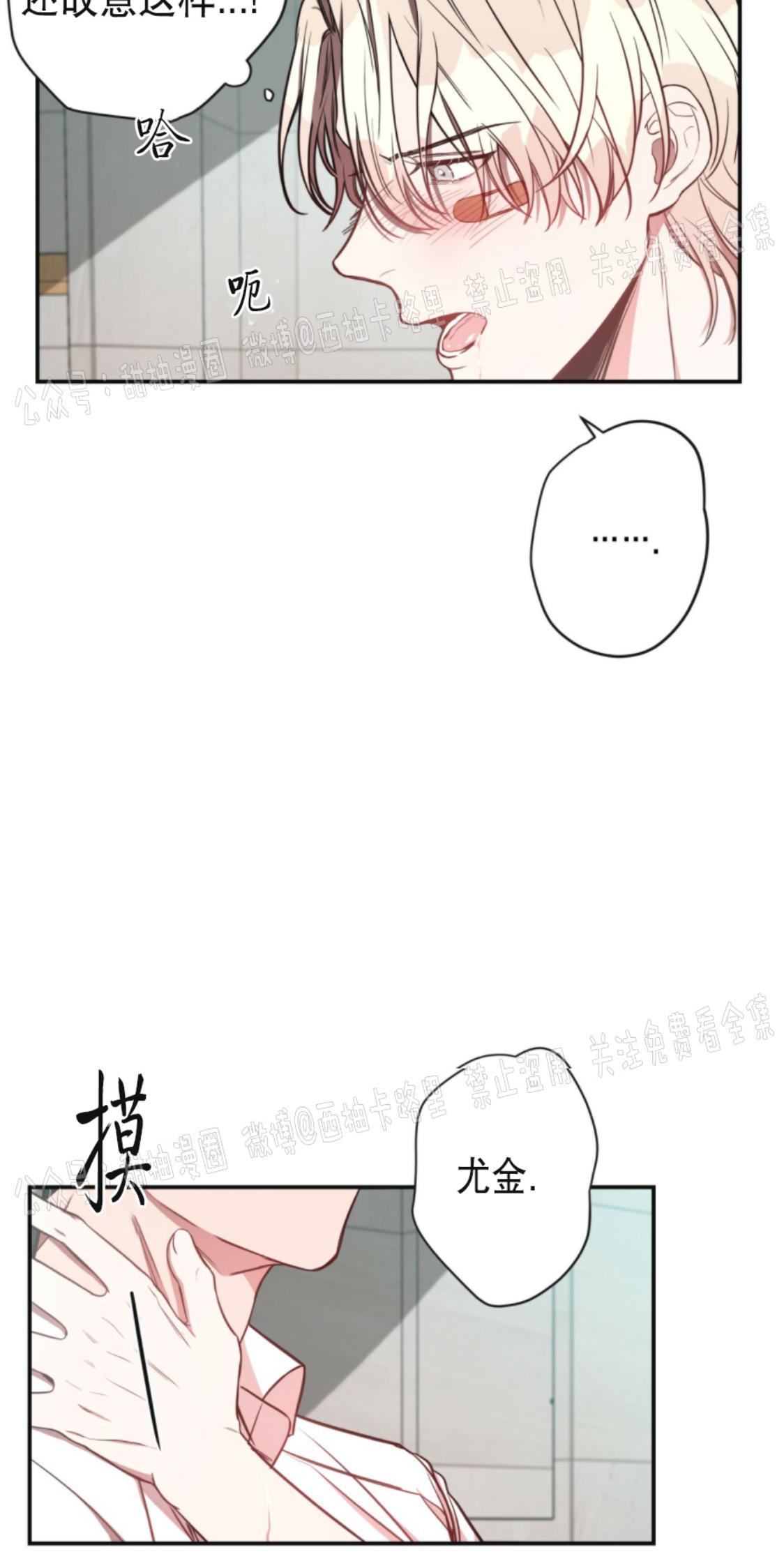 大苹果/纽约城[耽美]韩漫全集-第7话无删减无遮挡章节图片 