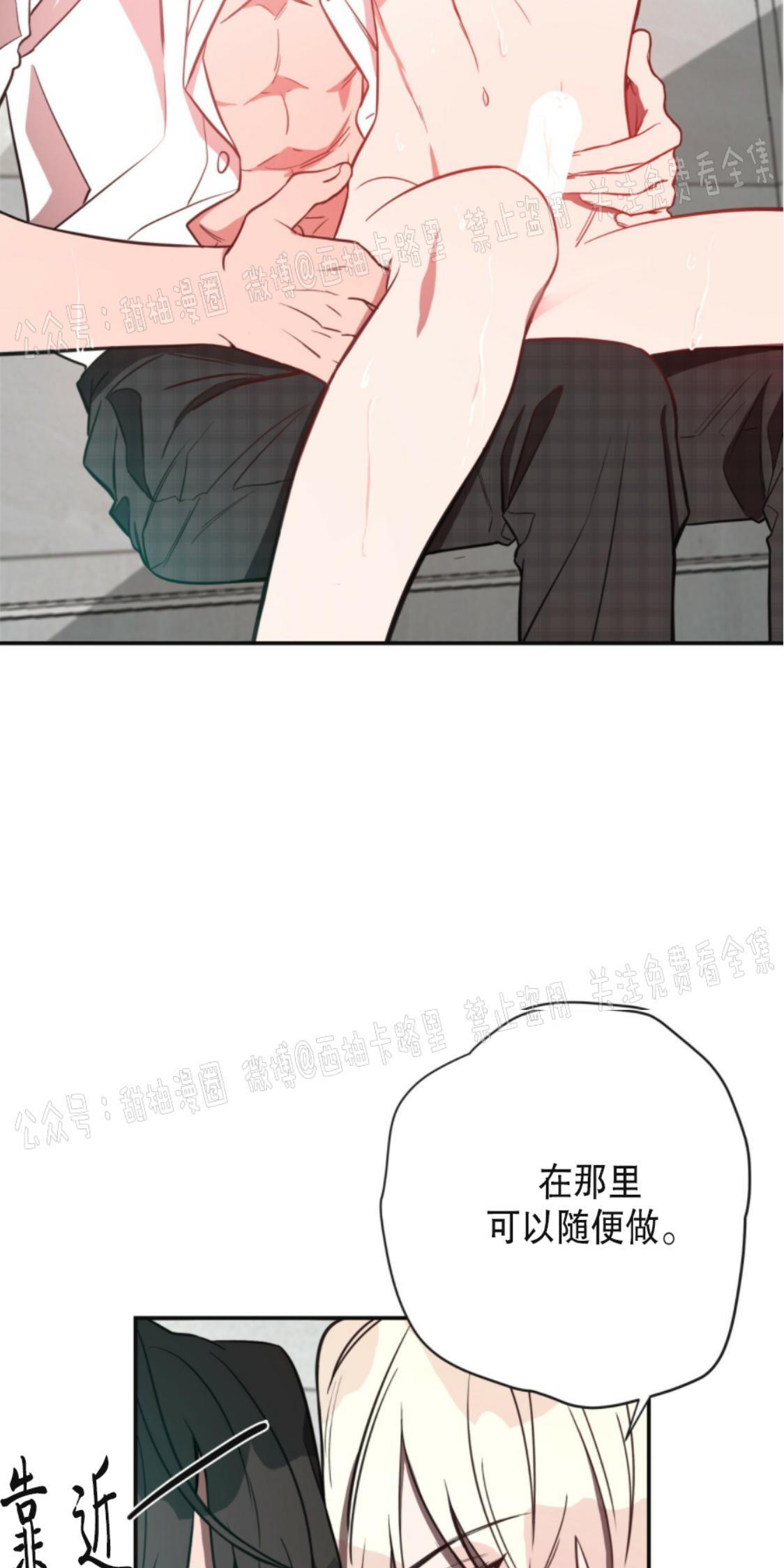 大苹果/纽约城[耽美]韩漫全集-第7话无删减无遮挡章节图片 