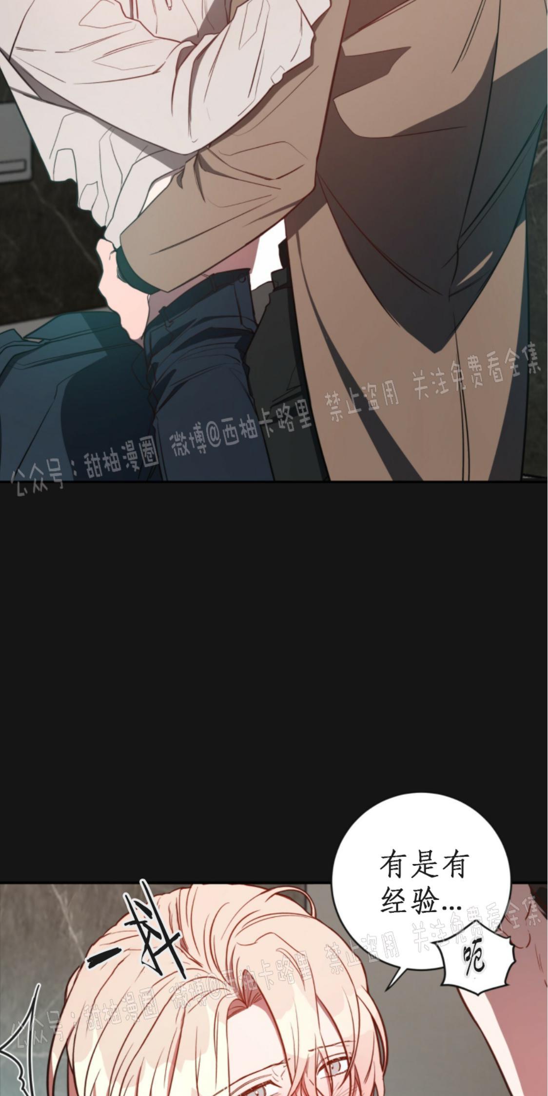 大苹果/纽约城[耽美]韩漫全集-第8话无删减无遮挡章节图片 