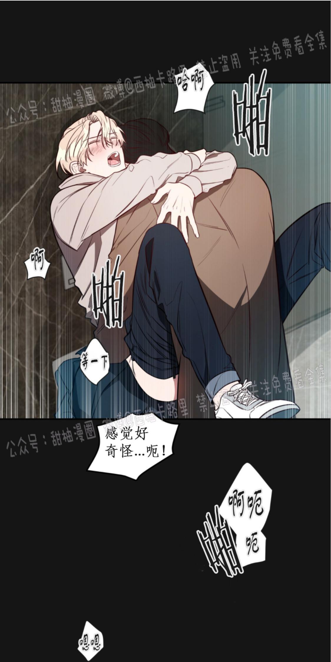 大苹果/纽约城[耽美]韩漫全集-第8话无删减无遮挡章节图片 
