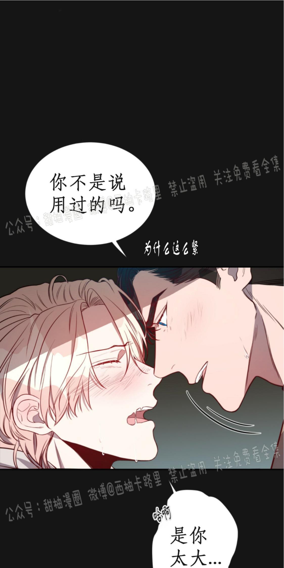大苹果/纽约城[耽美]韩漫全集-第8话无删减无遮挡章节图片 