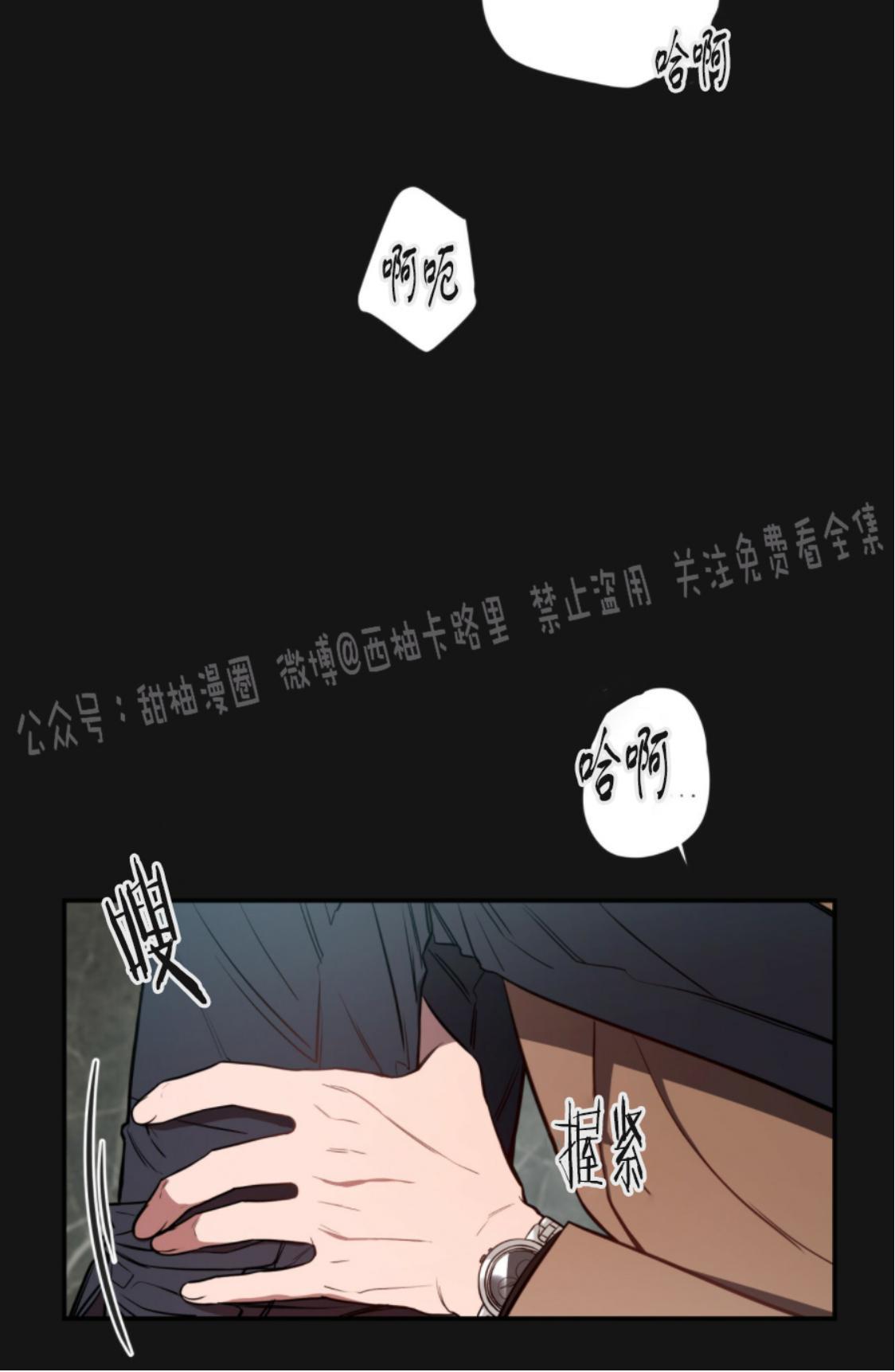 大苹果/纽约城[耽美]韩漫全集-第8话无删减无遮挡章节图片 
